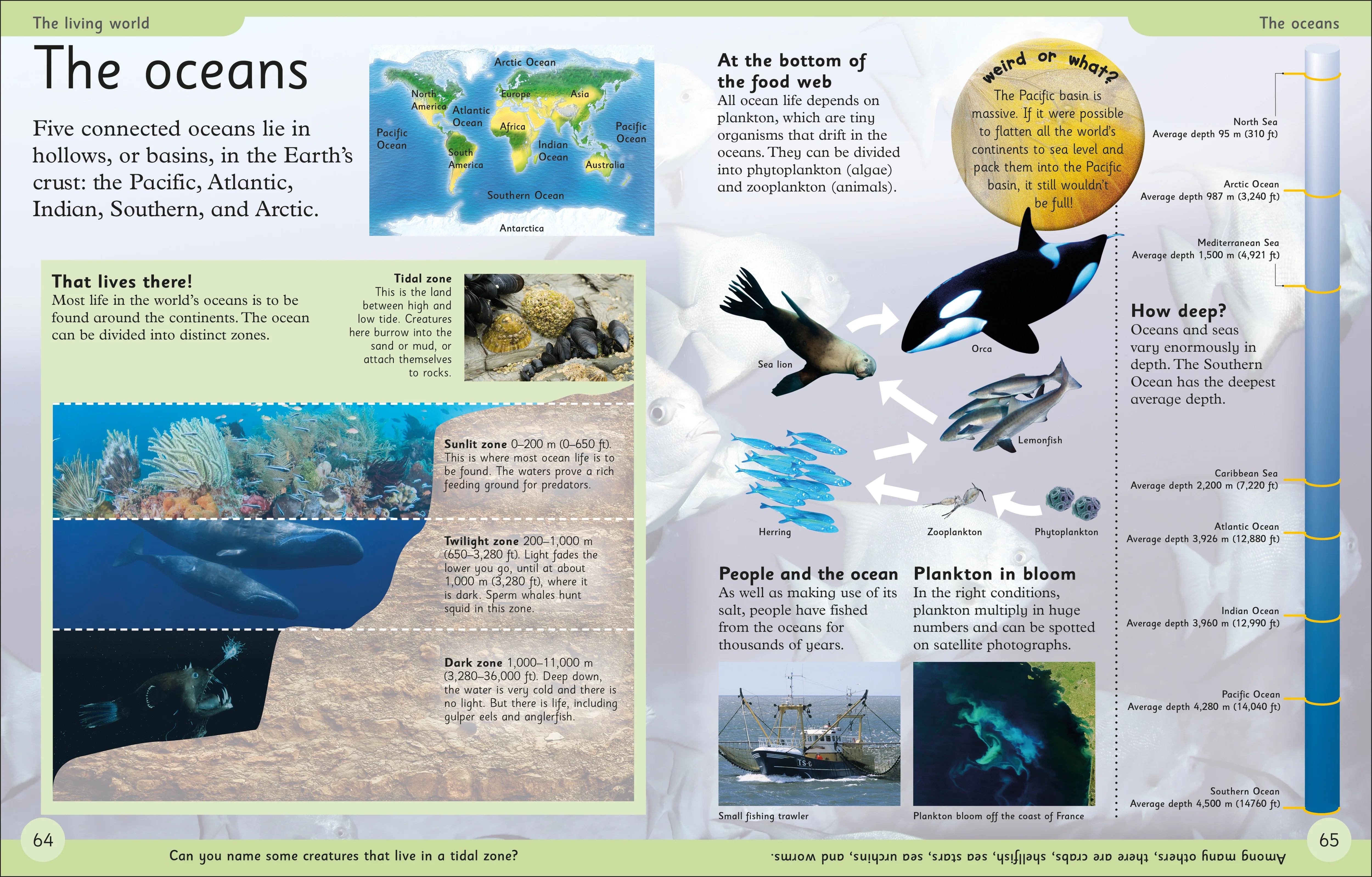 First Earth Encyclopedia - Image 4
