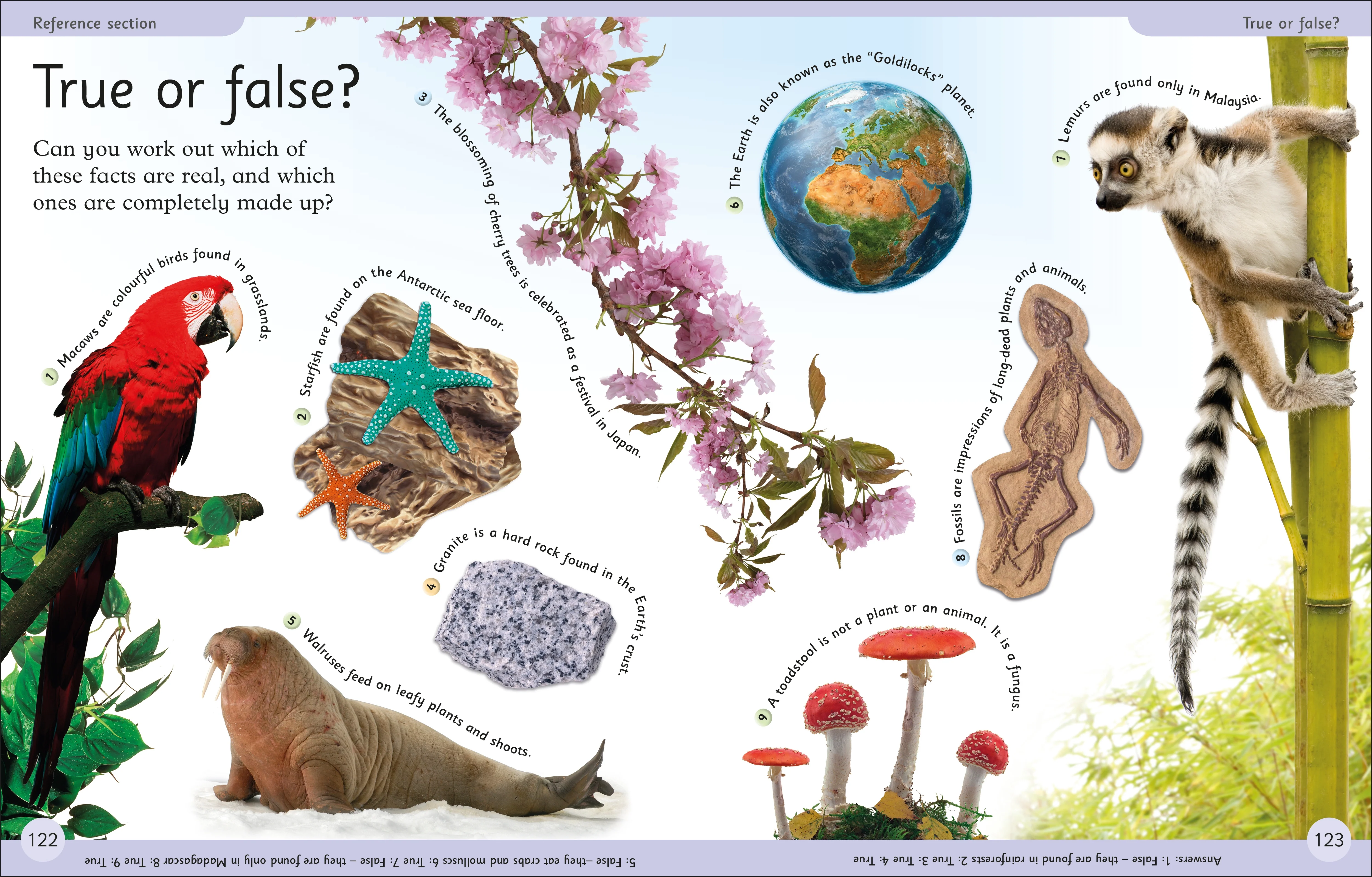First Earth Encyclopedia - Image 5