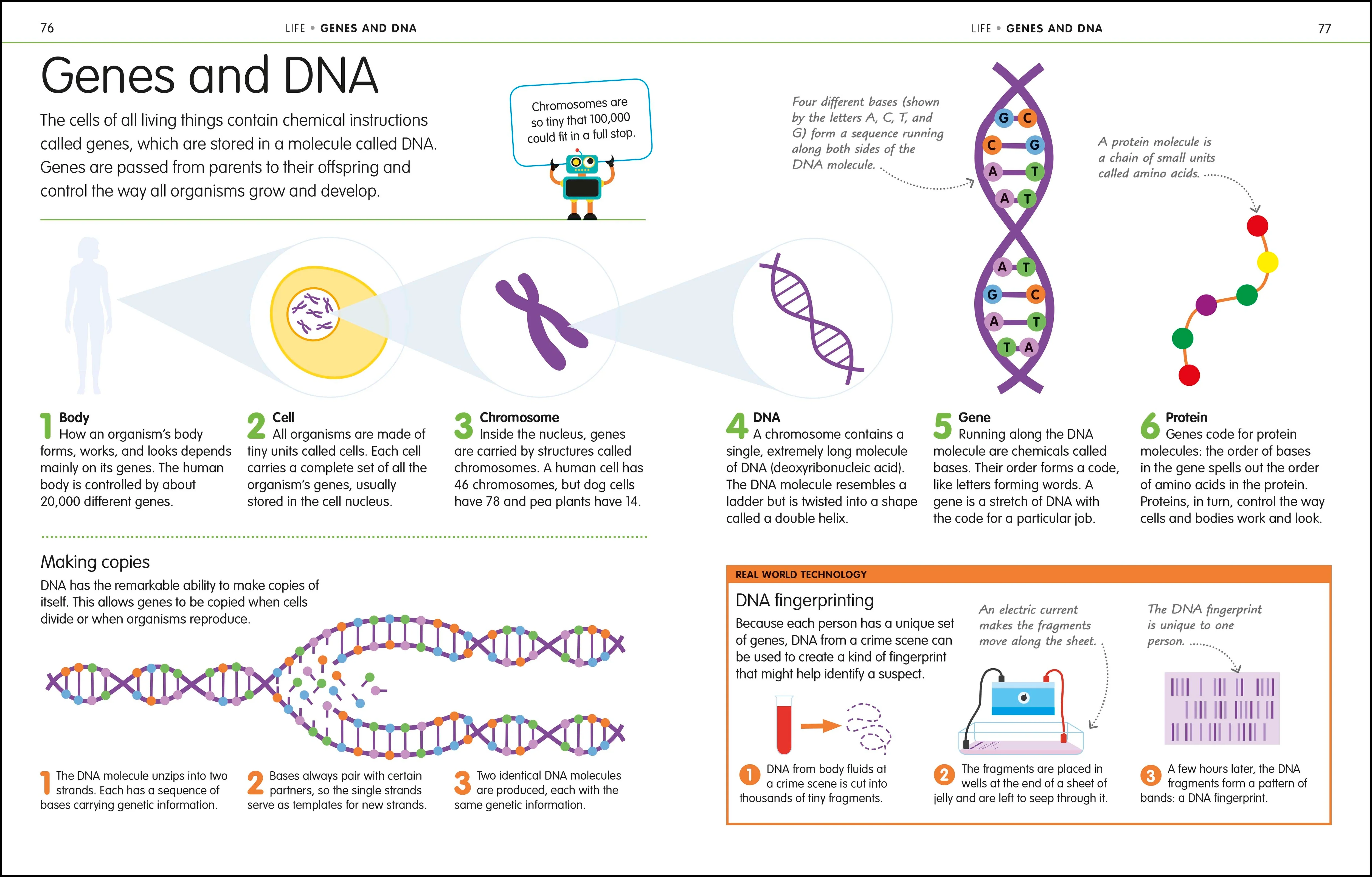 How to Be Good at Science, Technology, and Engineering - Image 3