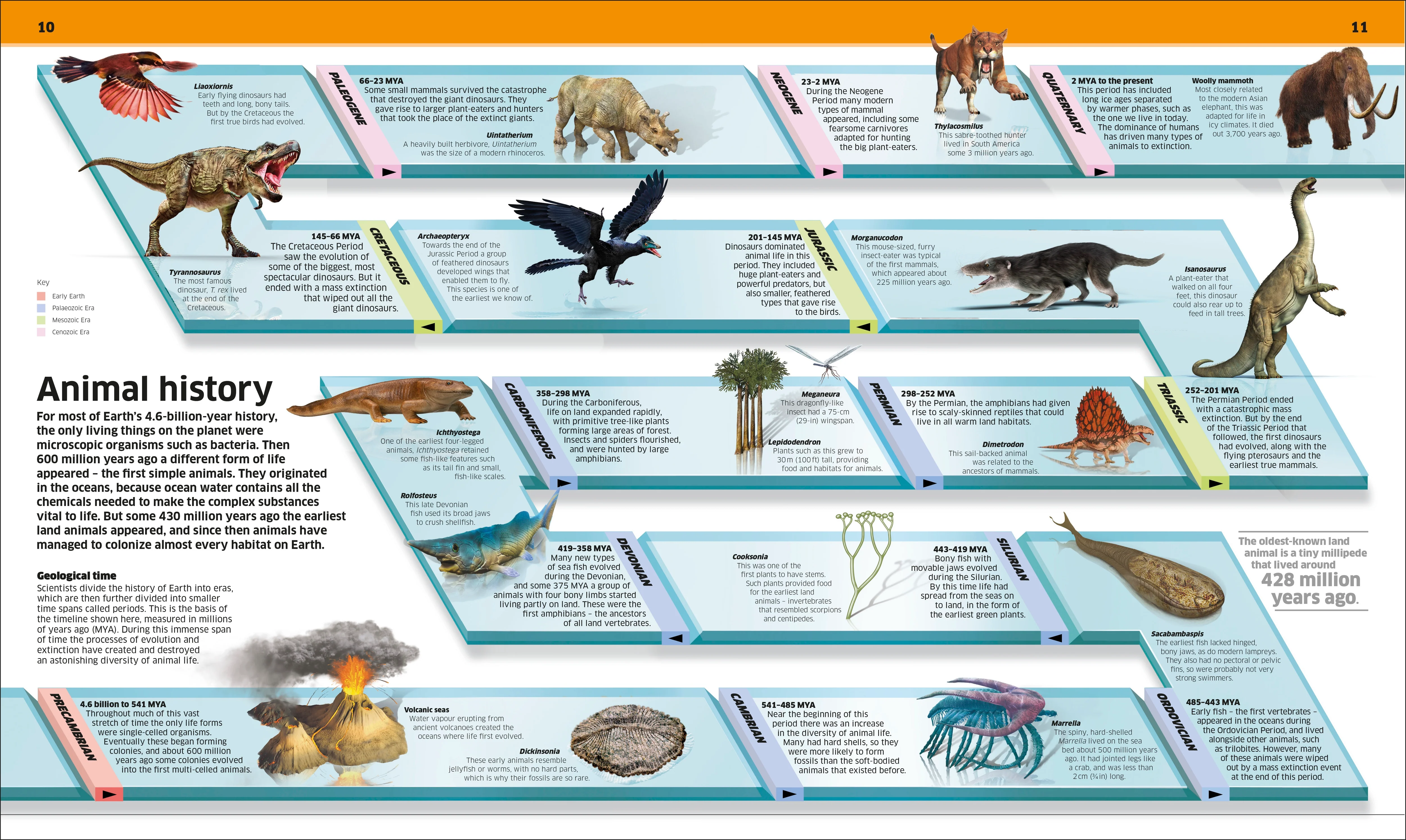 Knowledge Encyclopedia Animal! - Image 2