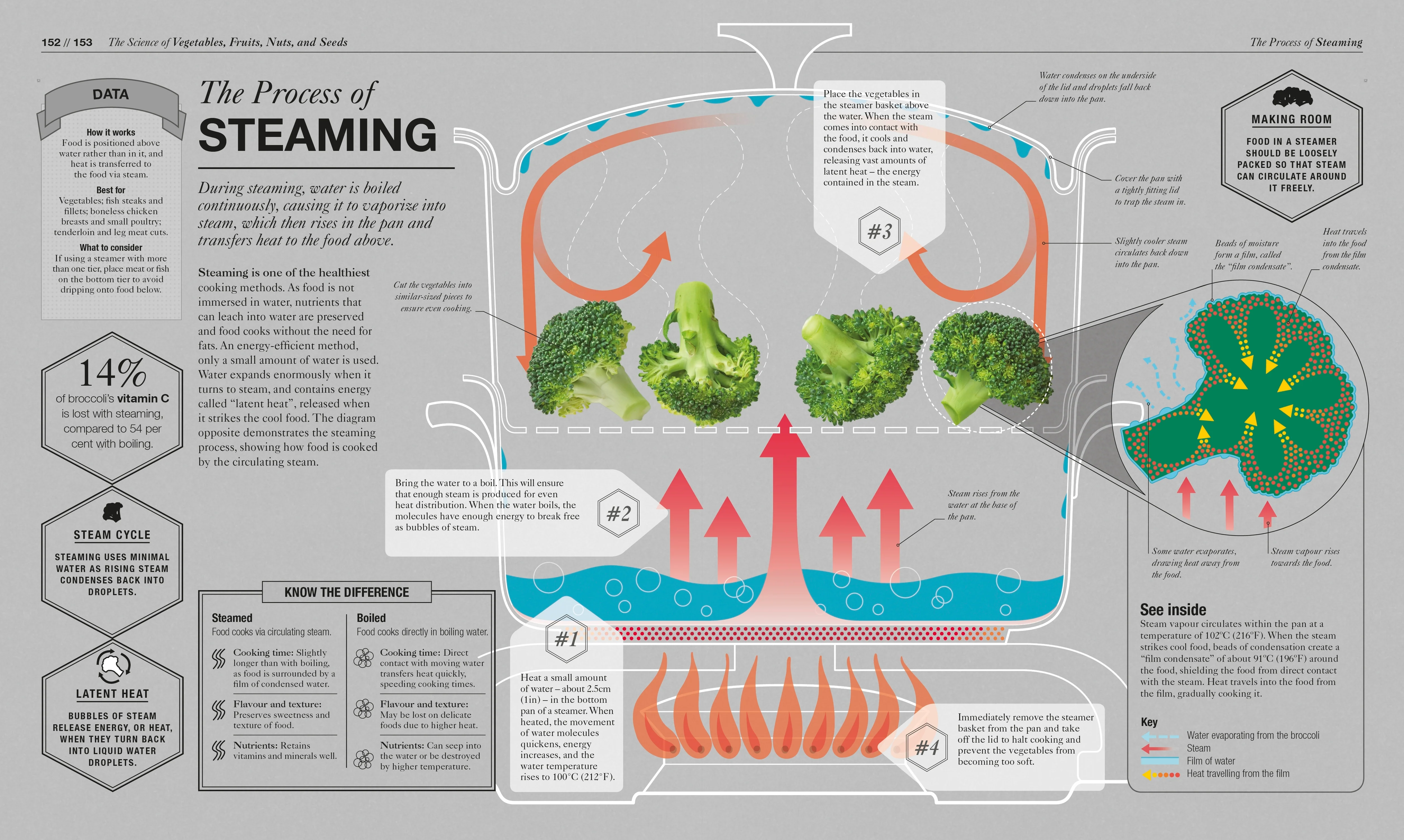 The Science of Cooking - Image 4