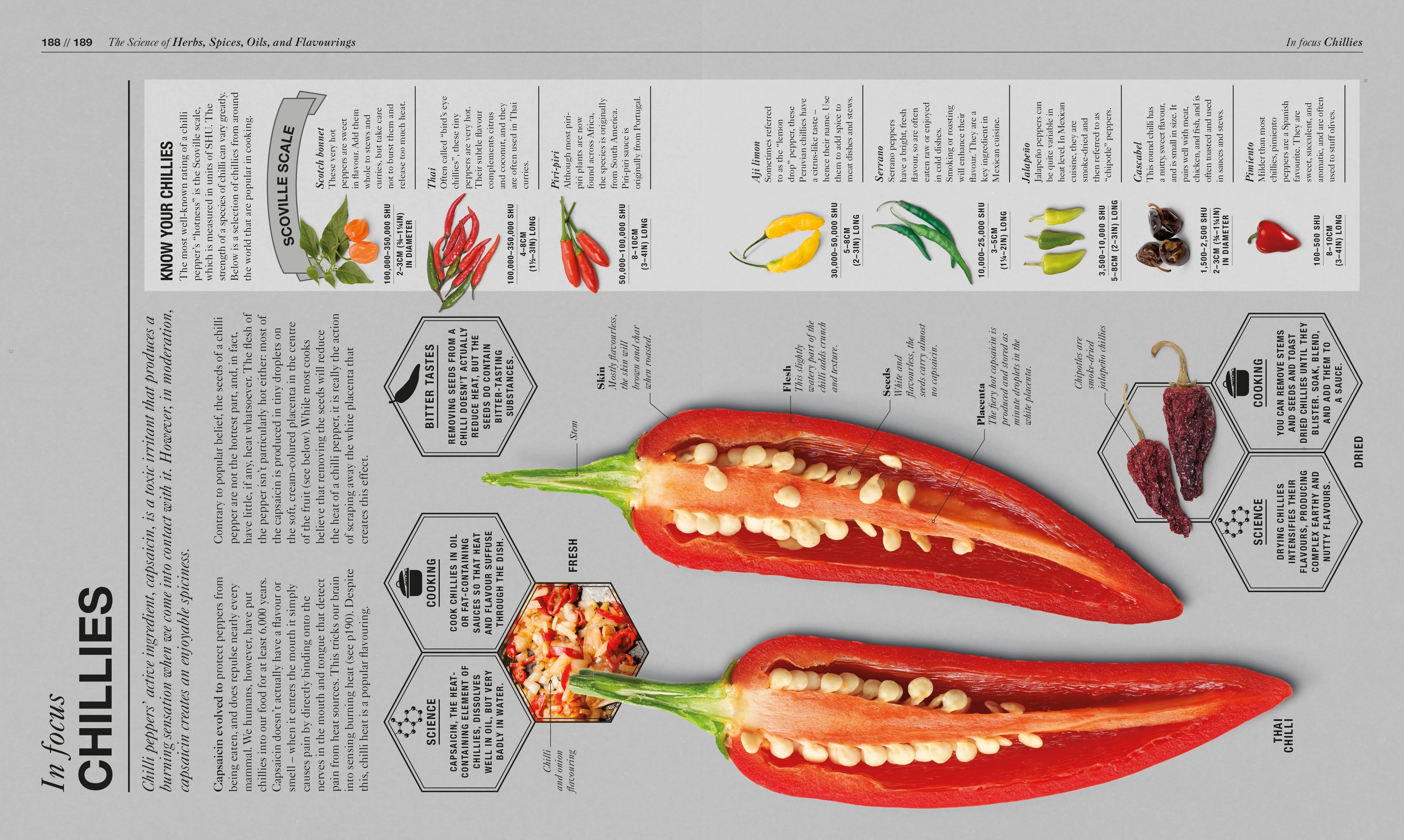 The Science of Cooking - Image 5