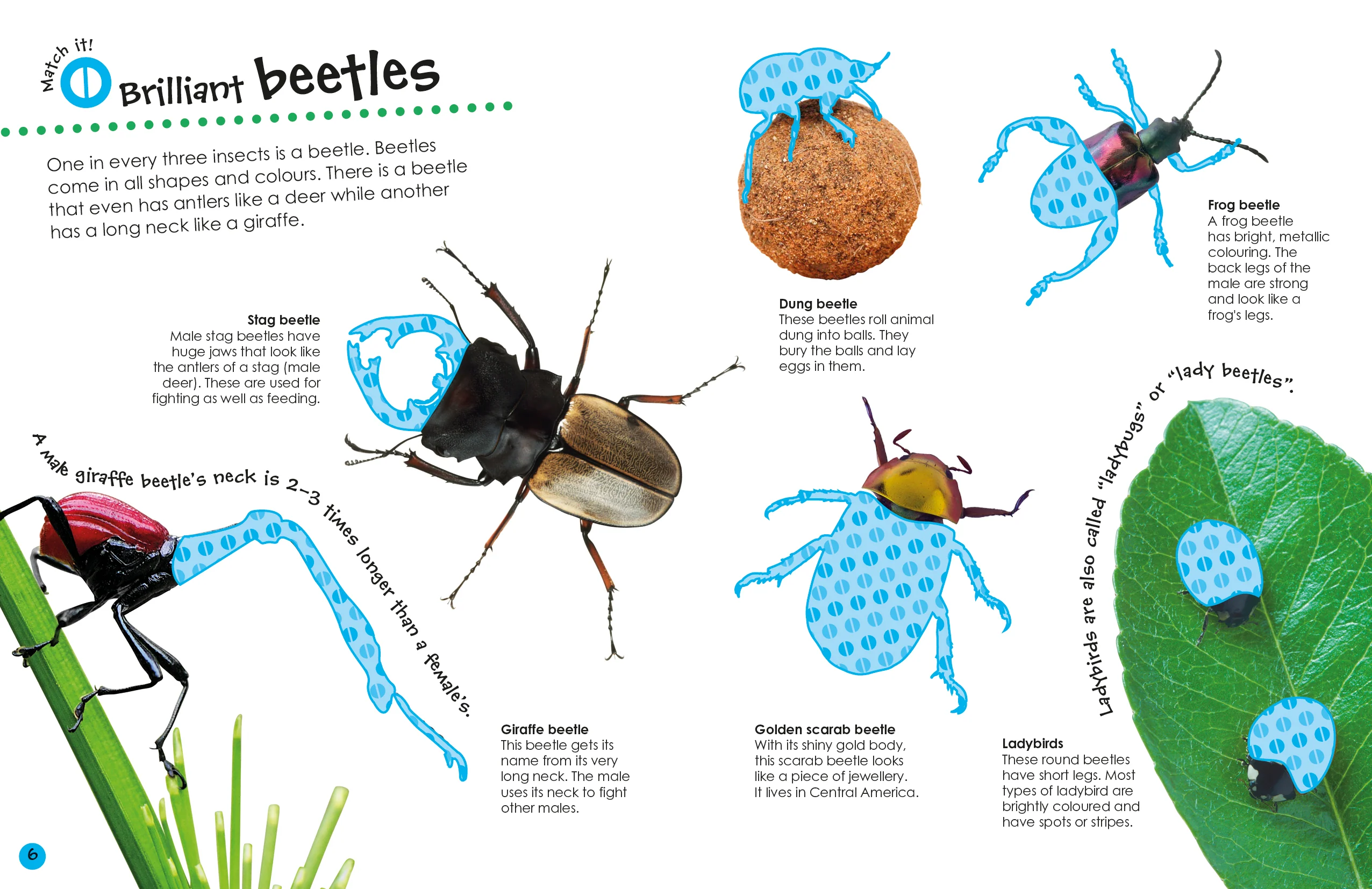 Bugs Ultimate Sticker Book - Image 3