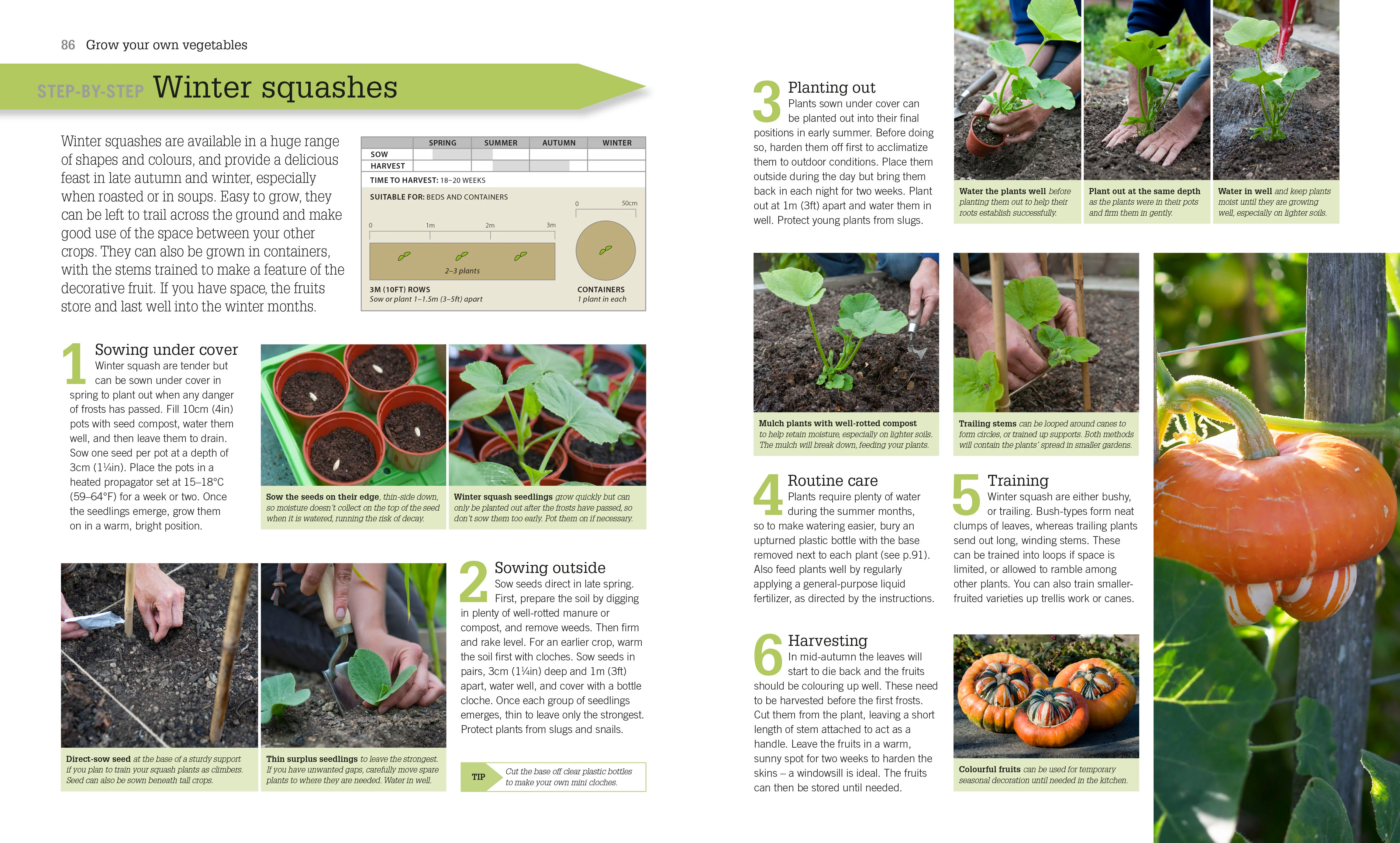 RHS Fruit and Veg Box - Image 2
