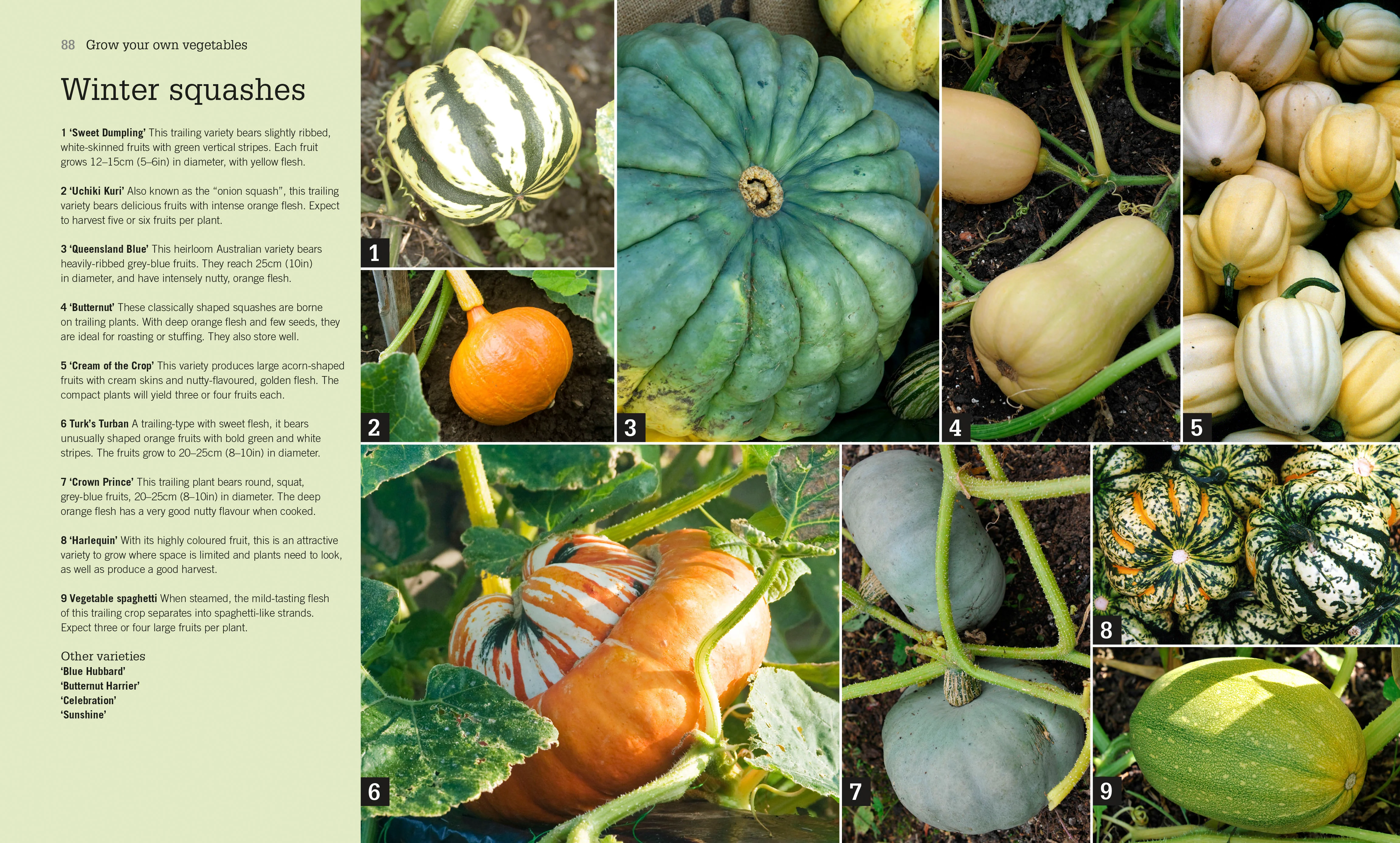 RHS Fruit and Veg Box - Image 3