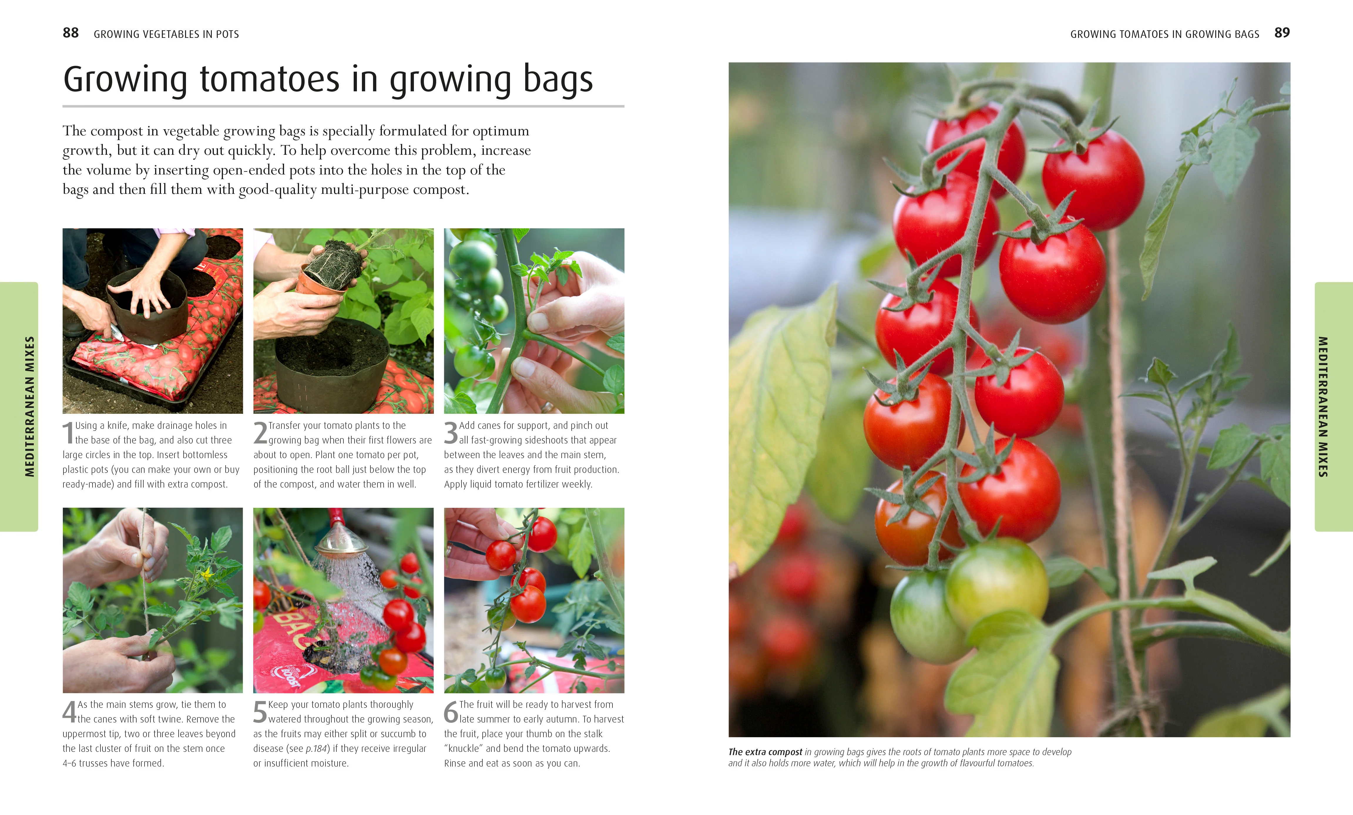 RHS Fruit and Veg Box - Image 4