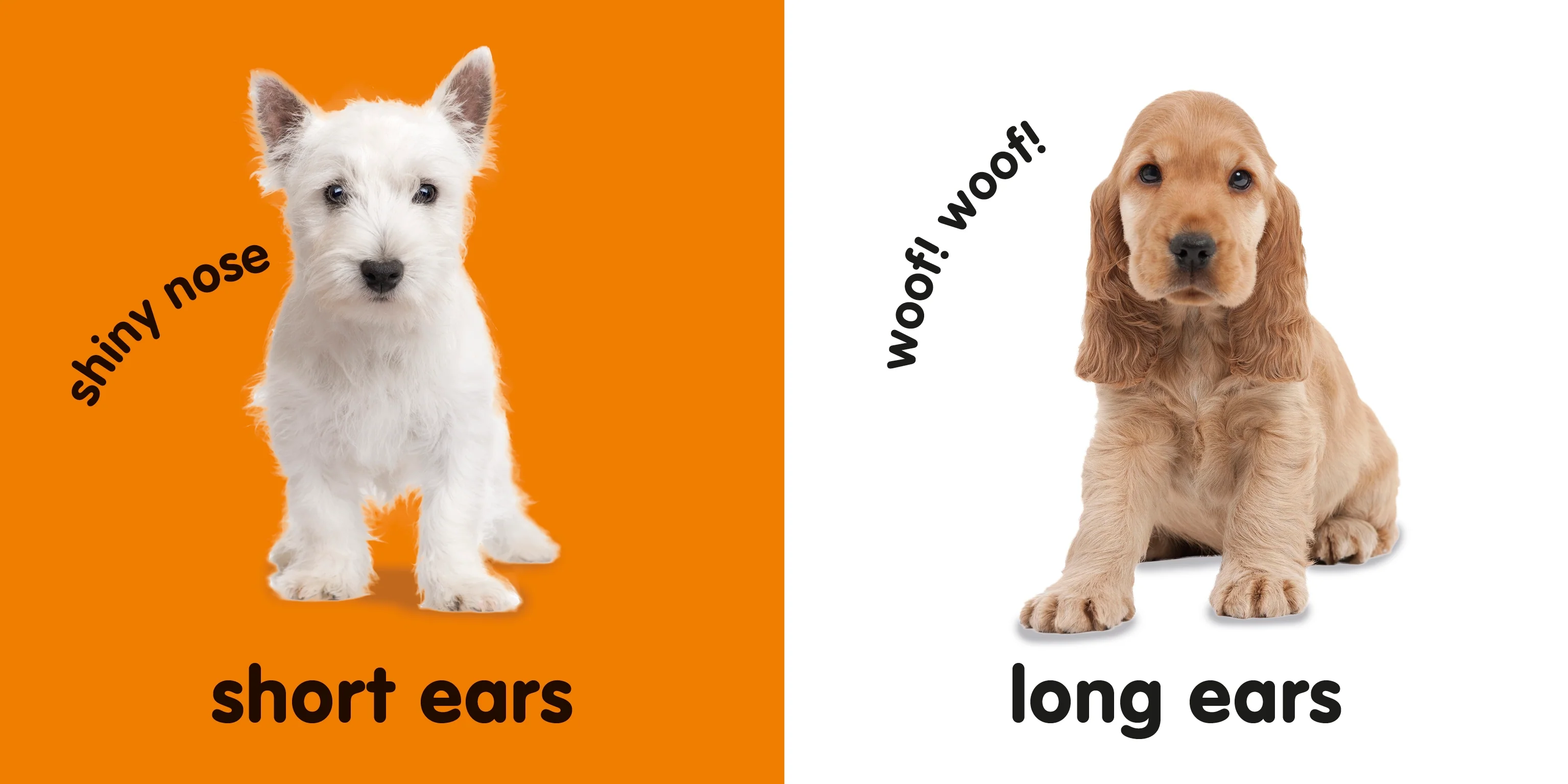 Baby Touch and Feel: Puppies - Image 2