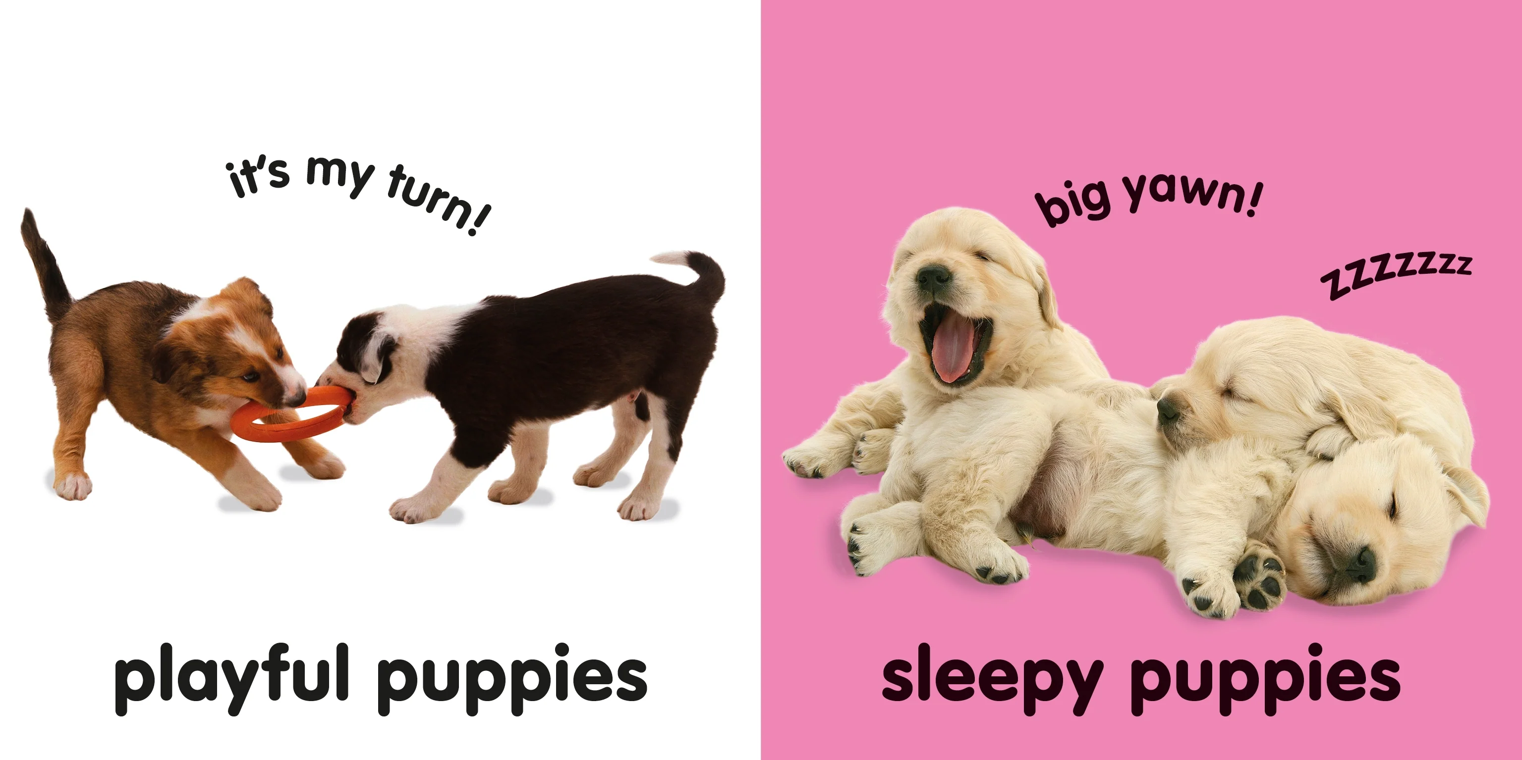 Baby Touch and Feel: Puppies - Image 3