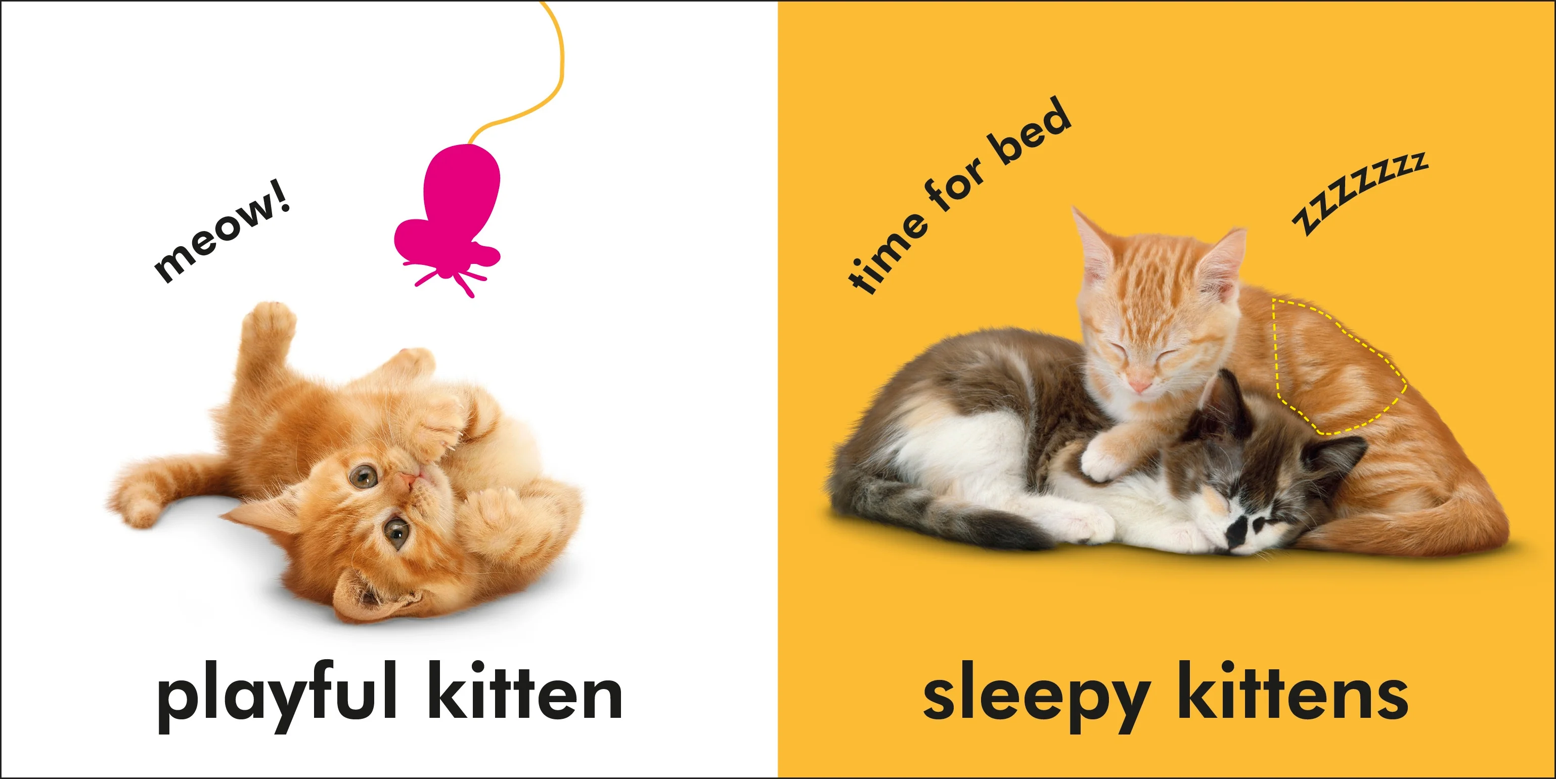 Baby Touch and Feel Kittens - Image 2