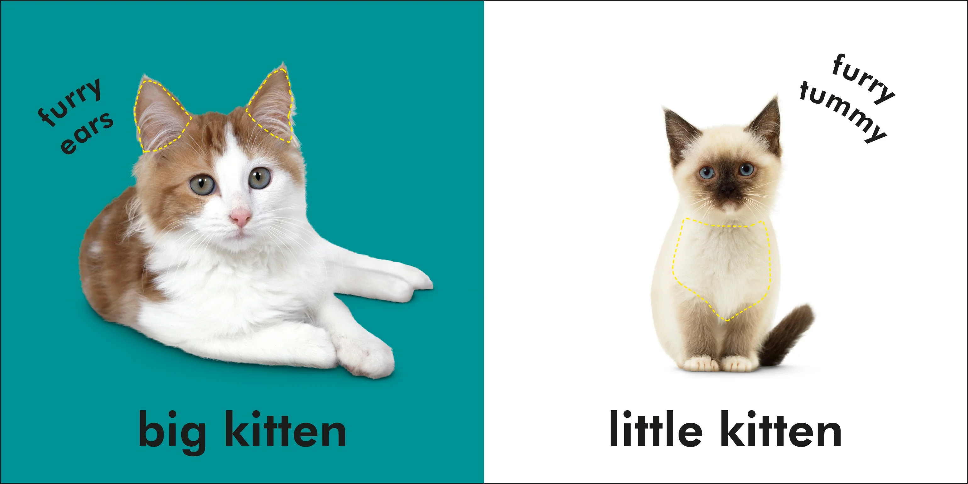 Baby Touch and Feel Kittens - Image 3