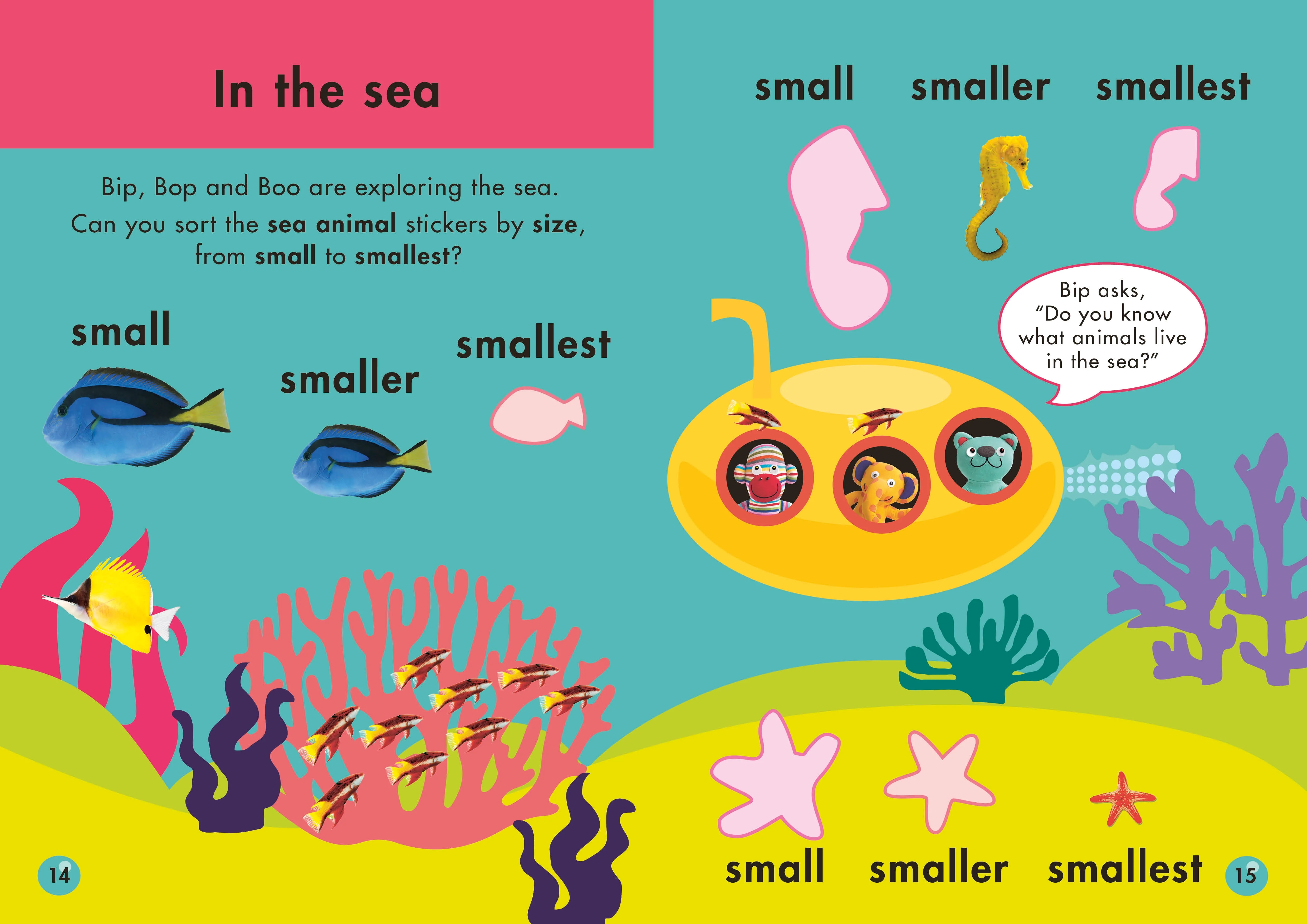 Shapes and Sizes - Image 4
