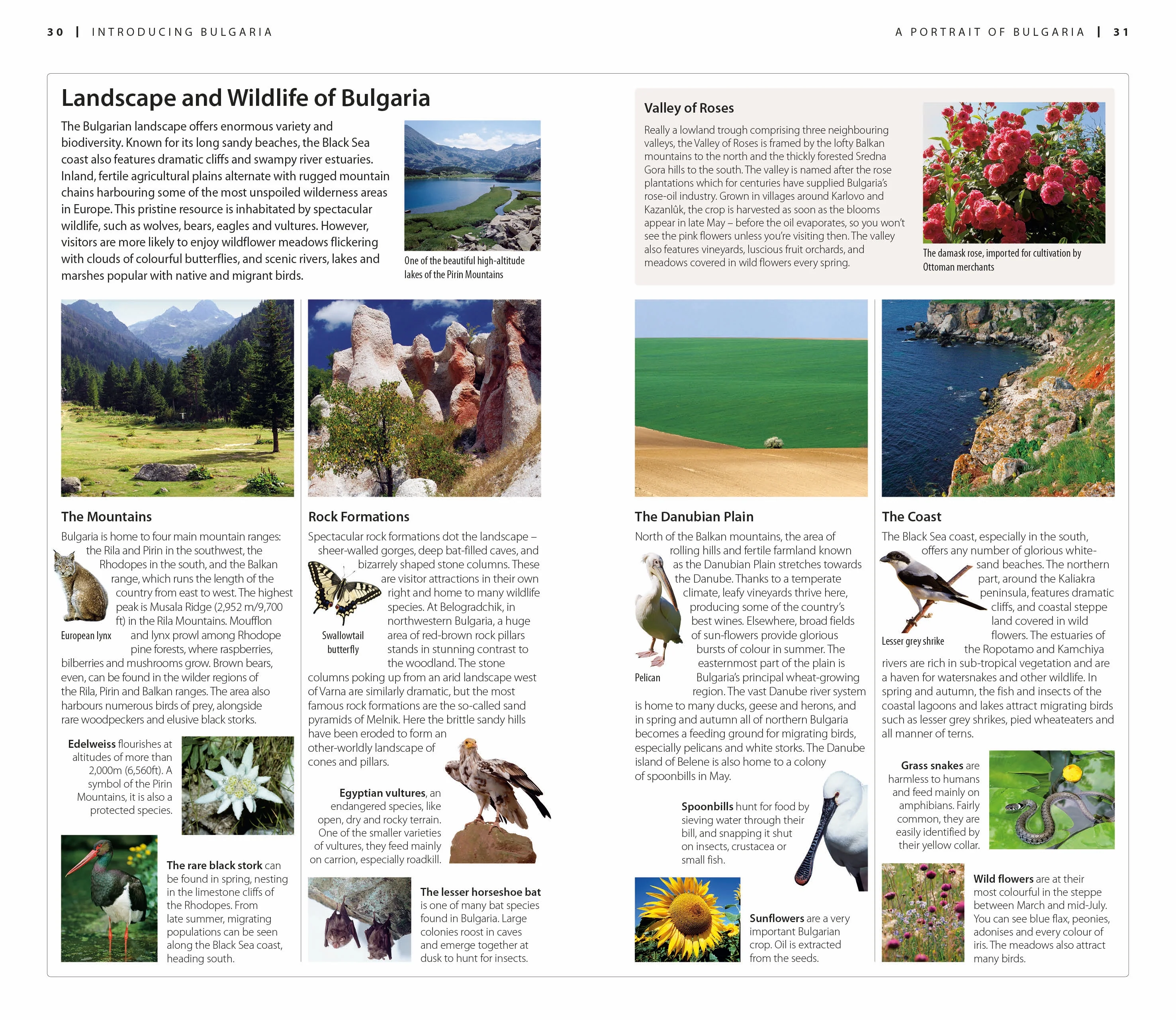 DK Bulgaria - Image 3