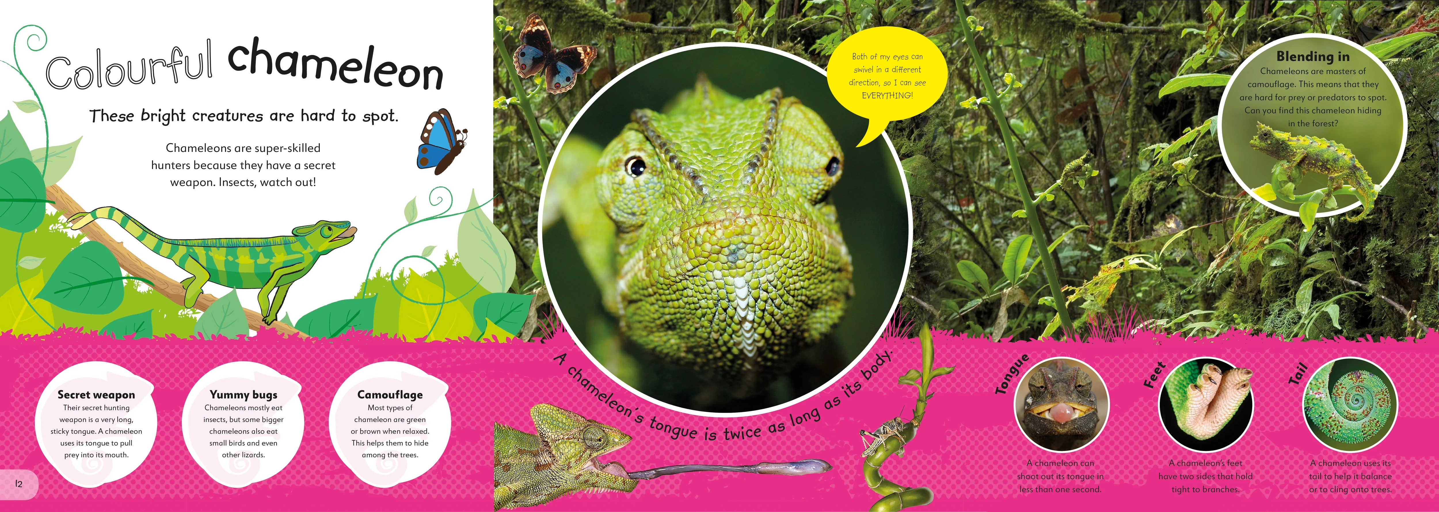 The Incredible Fold-Out Book of Animals - Image 2