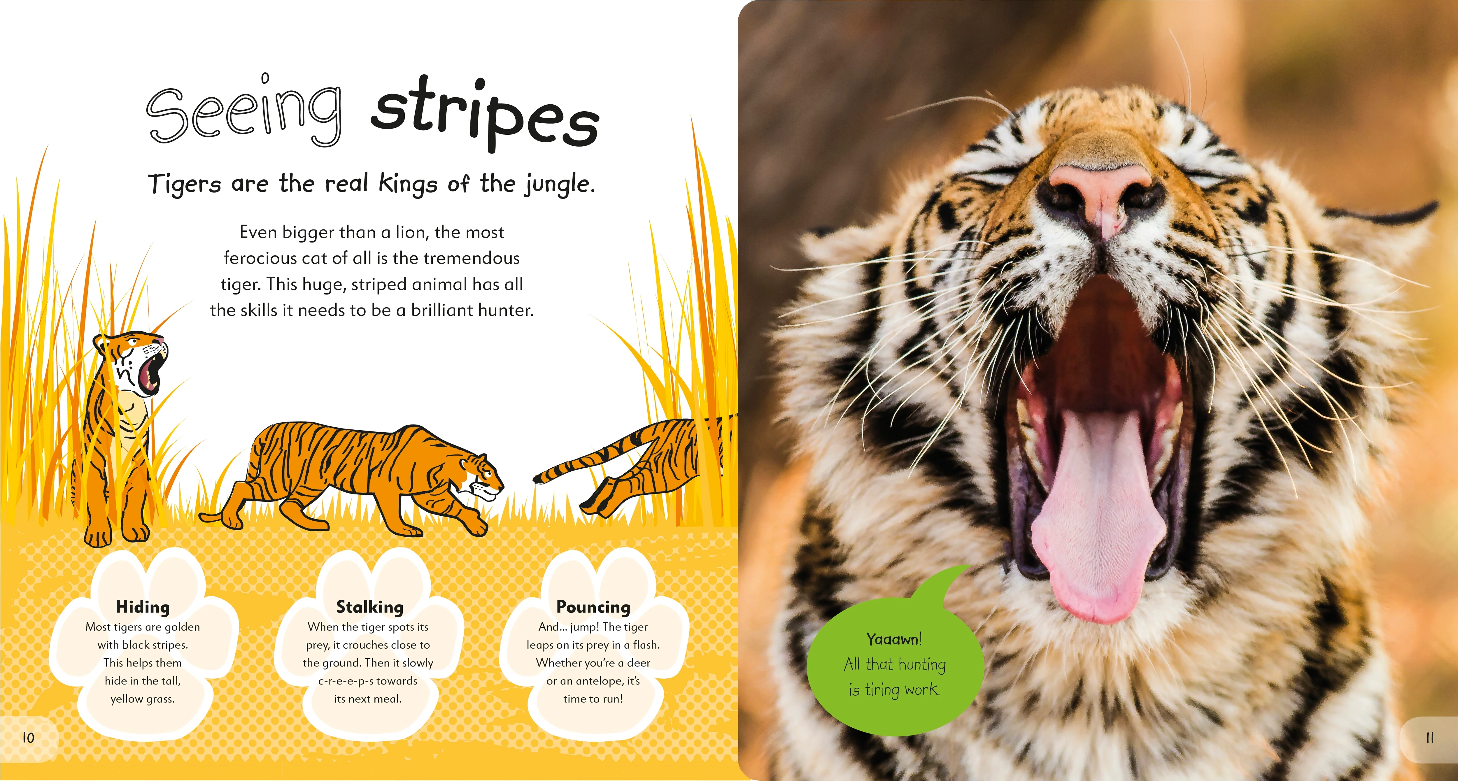 The Incredible Fold-Out Book of Animals - Image 4