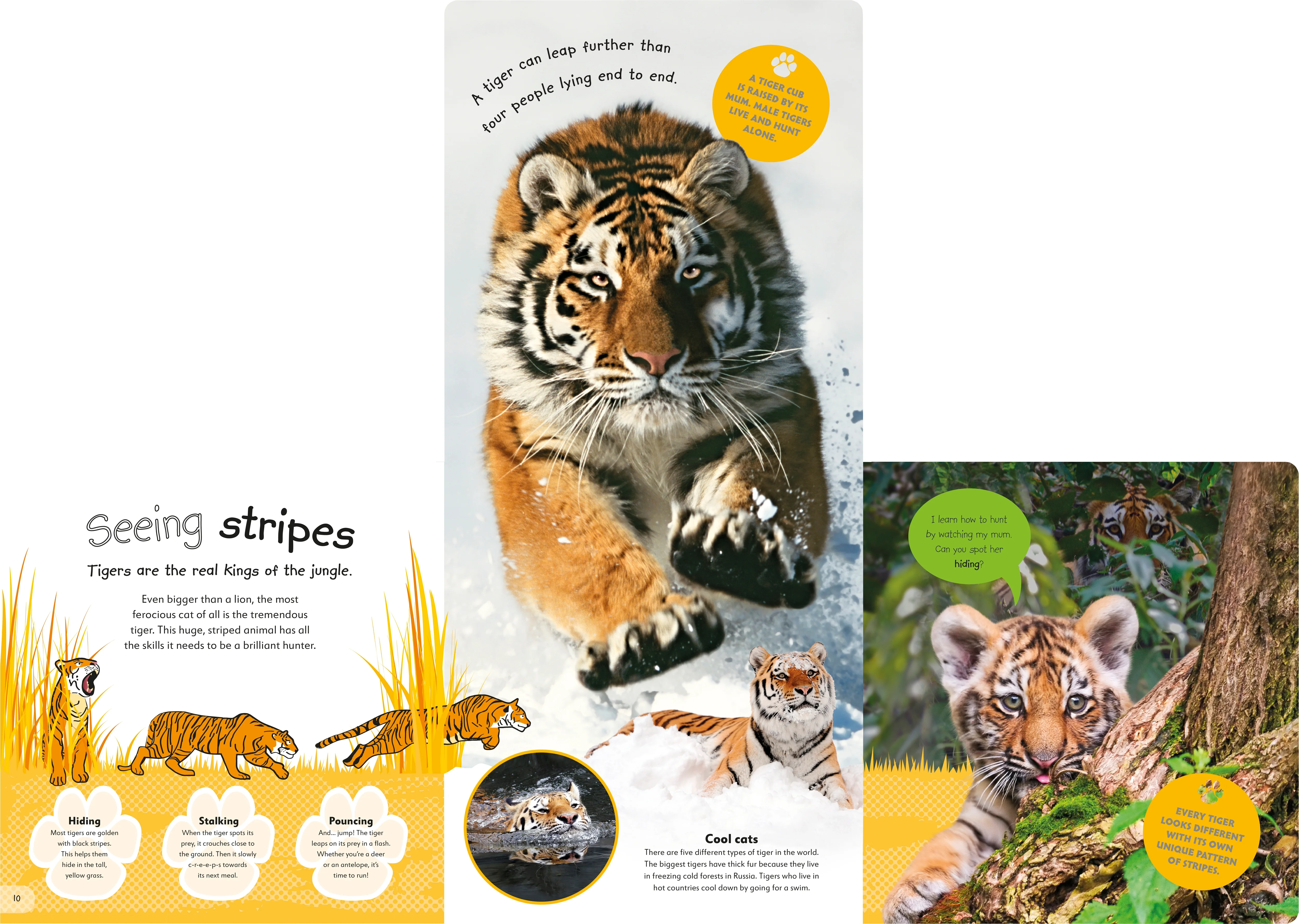 The Incredible Fold-Out Book of Animals - Image 6