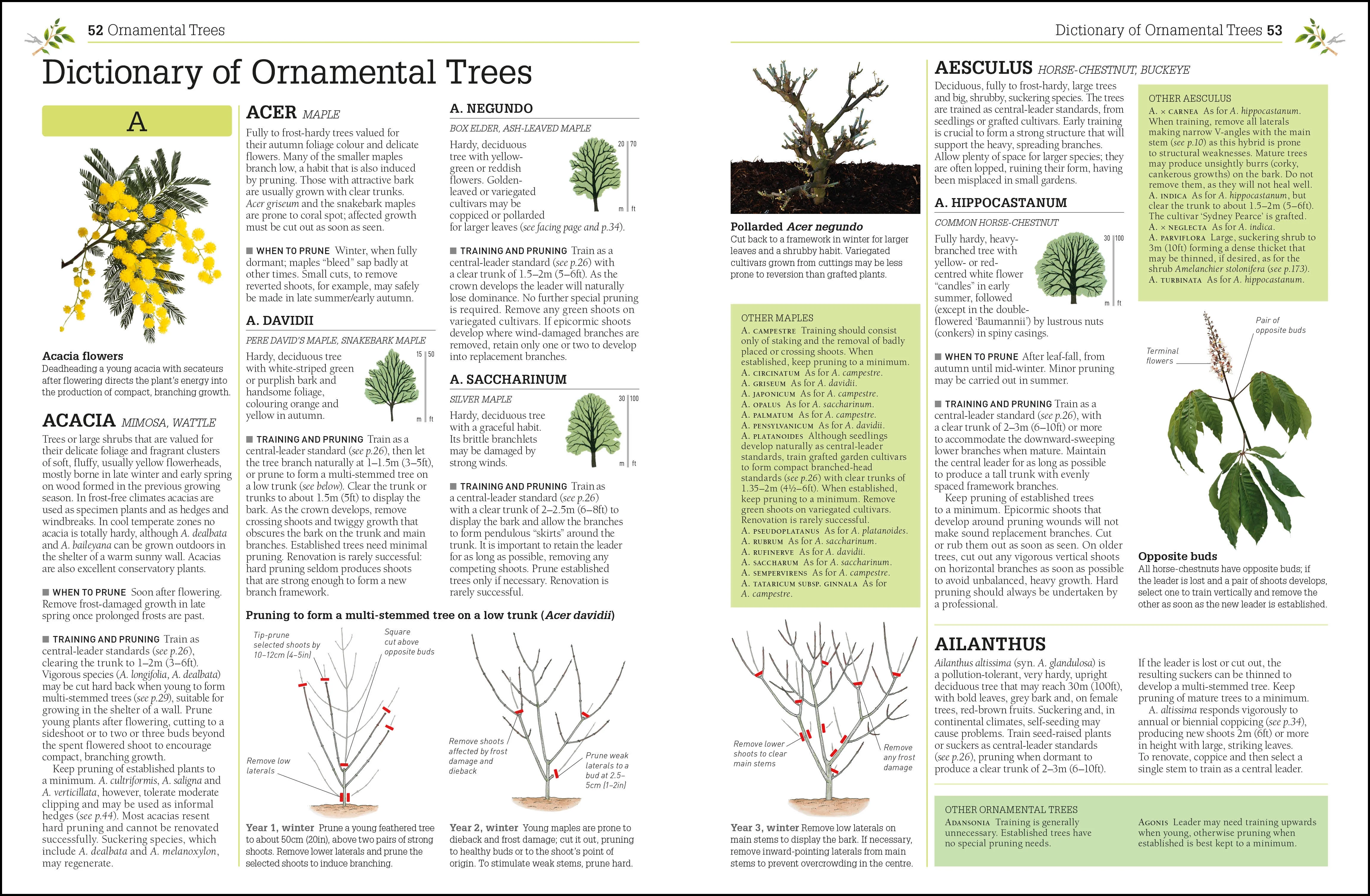 RHS Pruning and Training - Image 2