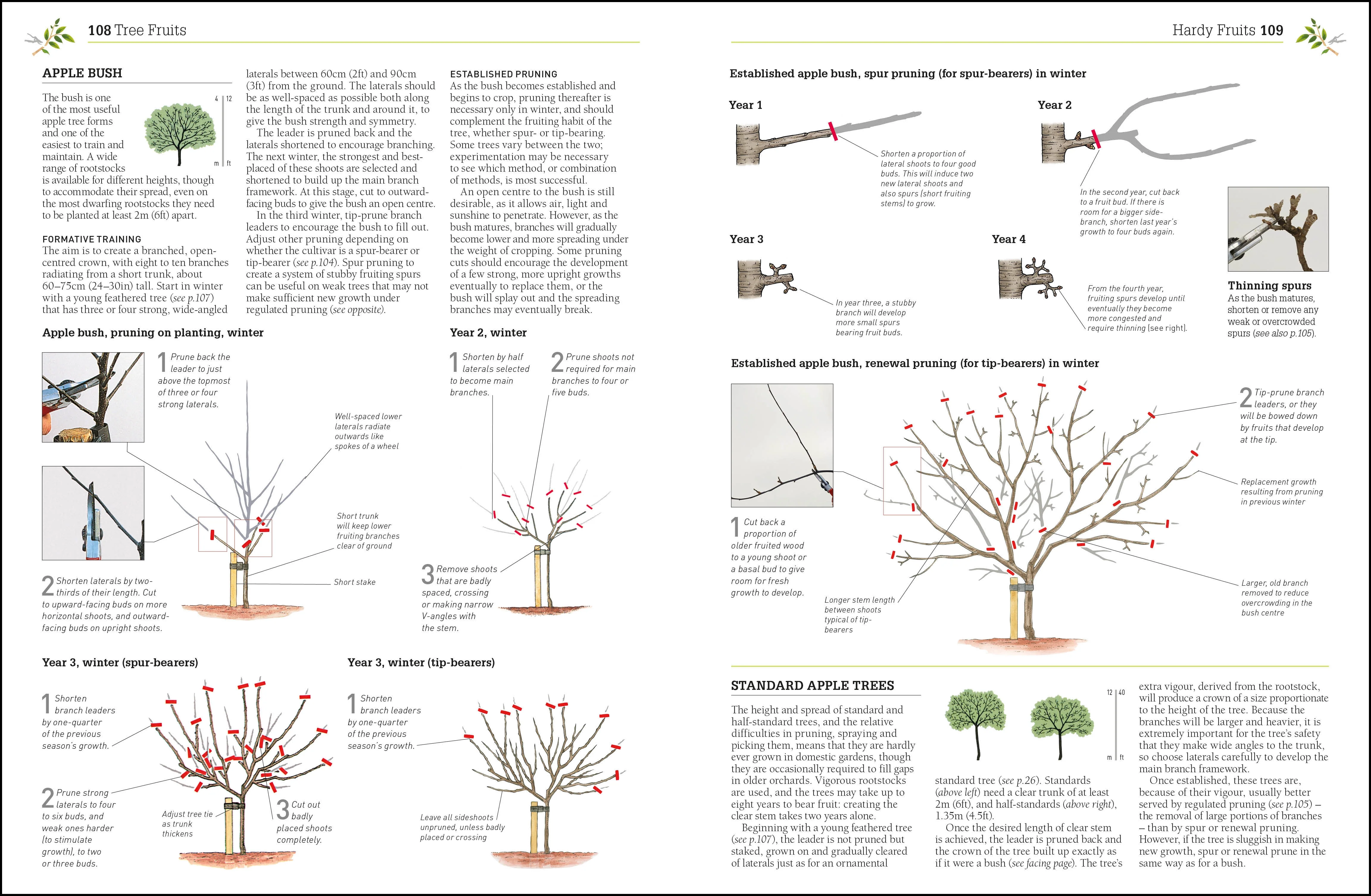 RHS Pruning and Training - Image 3