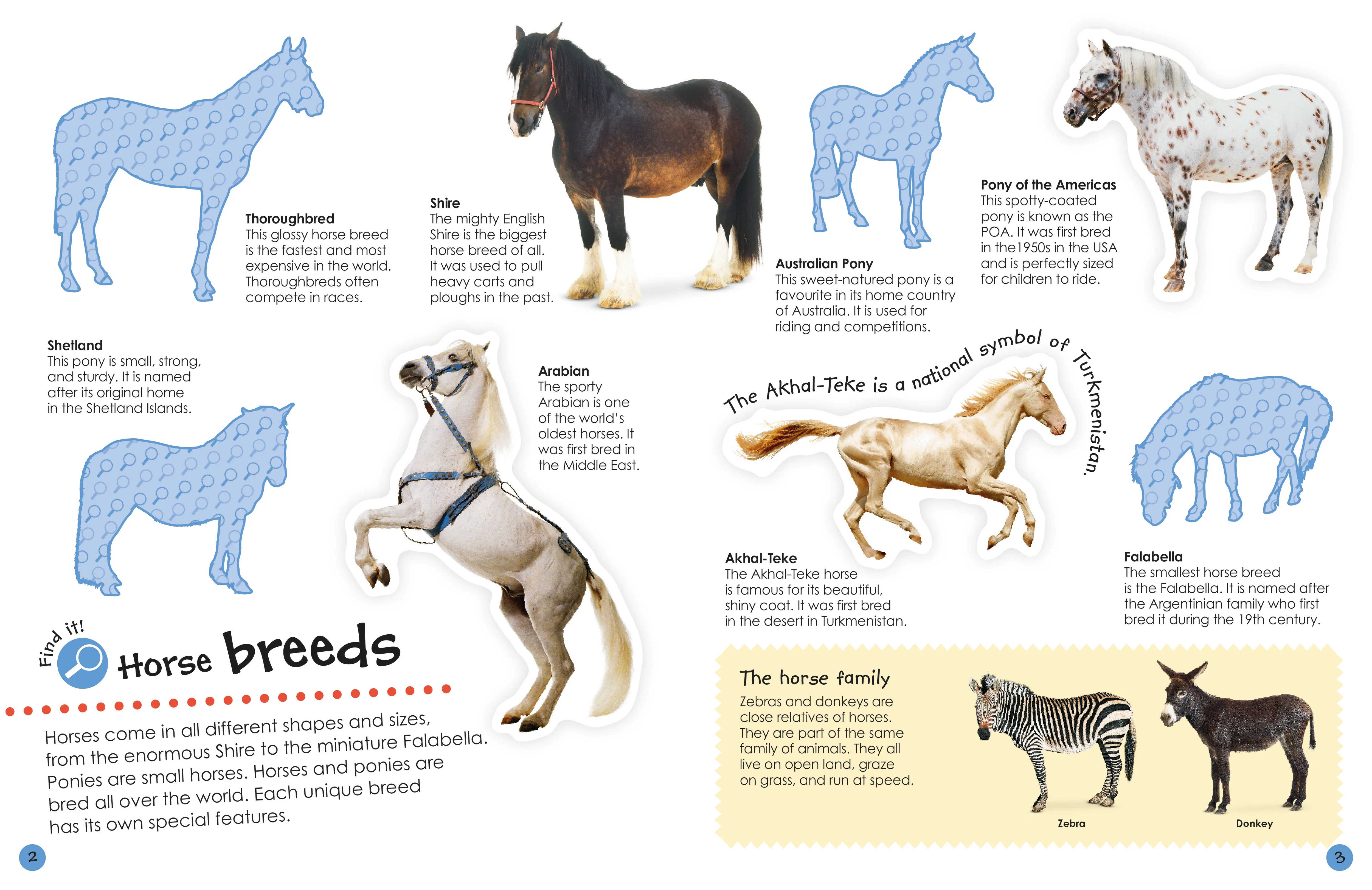 Horses and Ponies Ultimate Sticker Book - Image 2