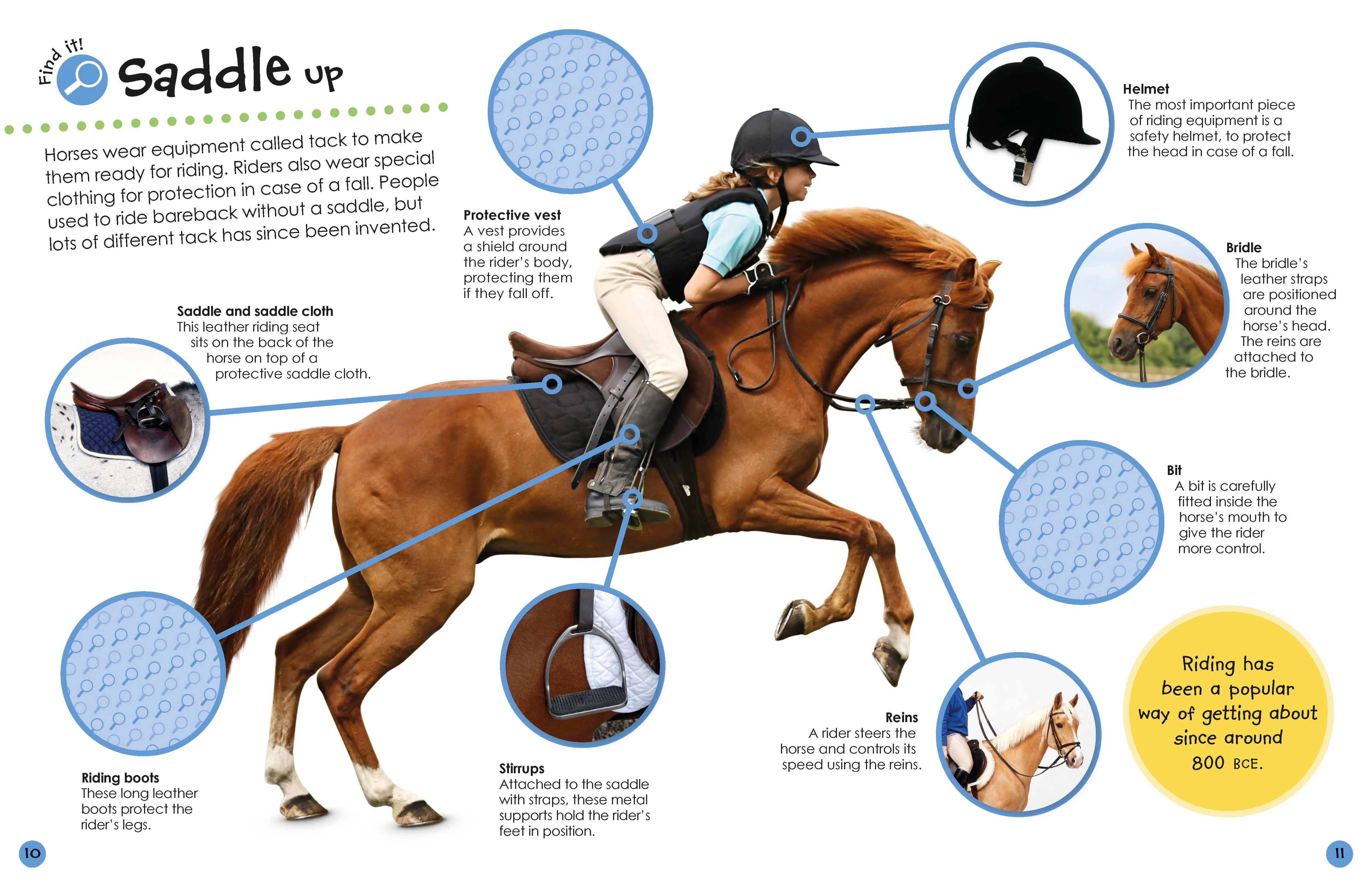 Horses and Ponies Ultimate Sticker Book - Image 4