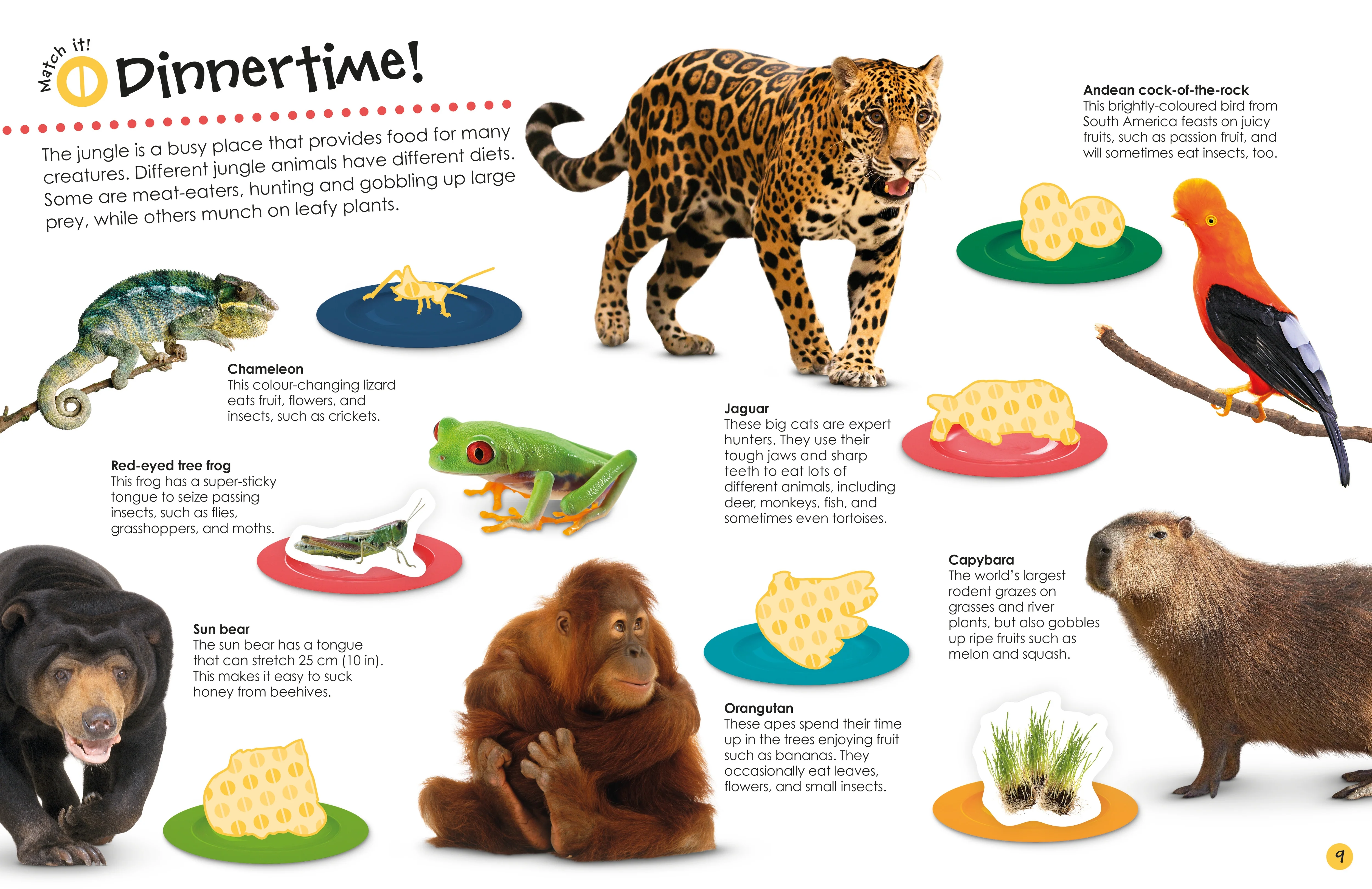 Jungle Ultimate Sticker Book - Image 4