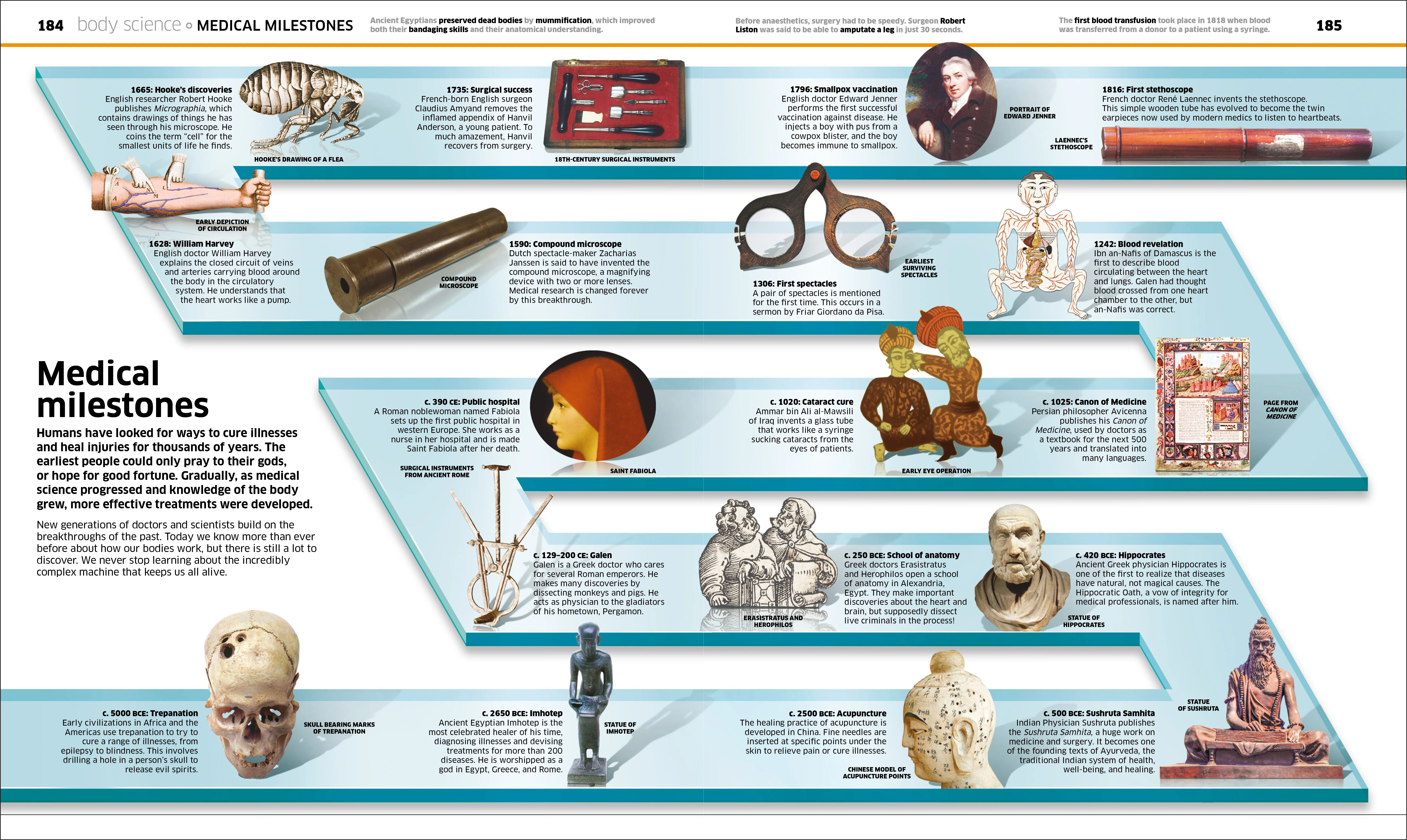 Knowledge Encyclopedia Human Body! - Image 7