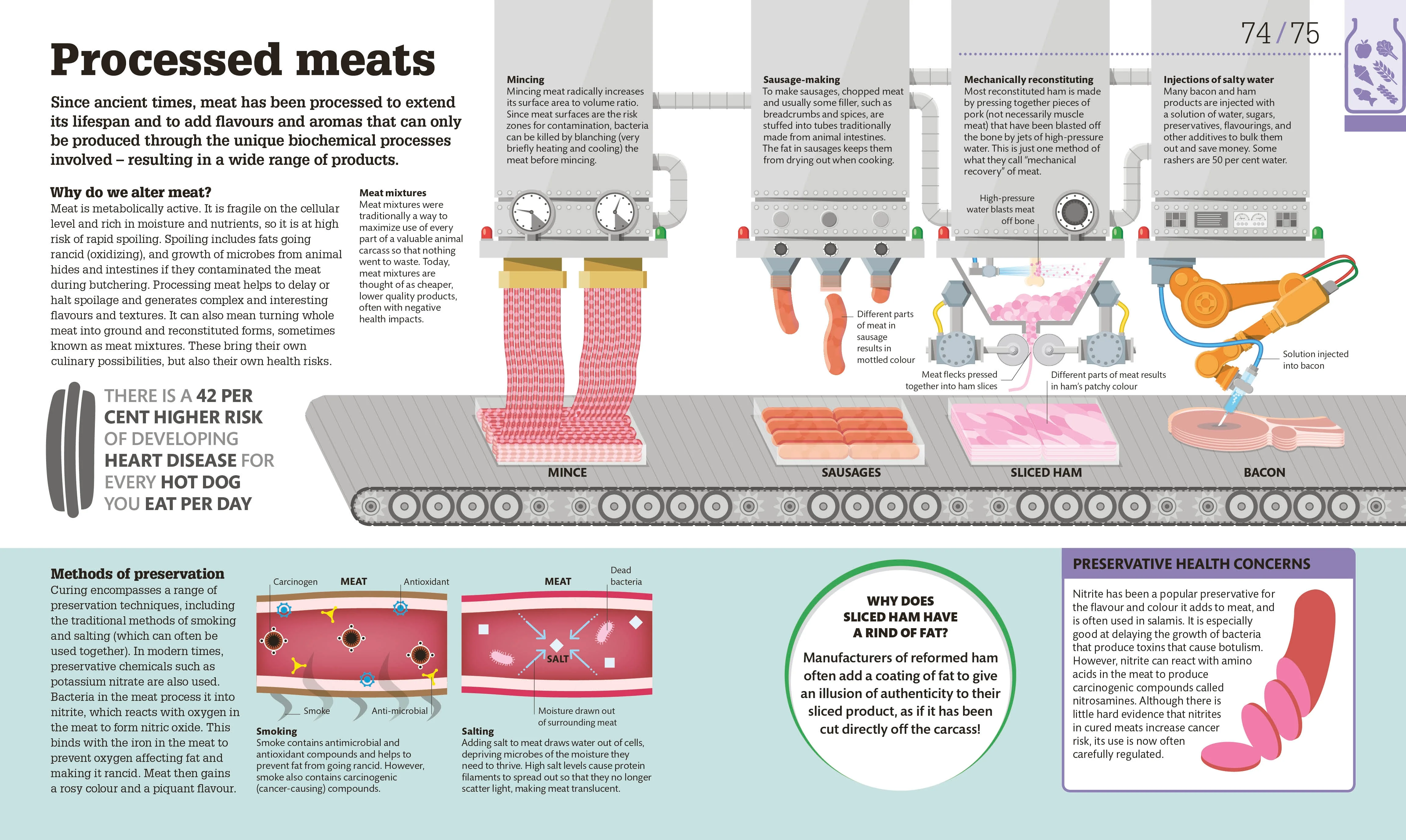 How Food Works - Image 4
