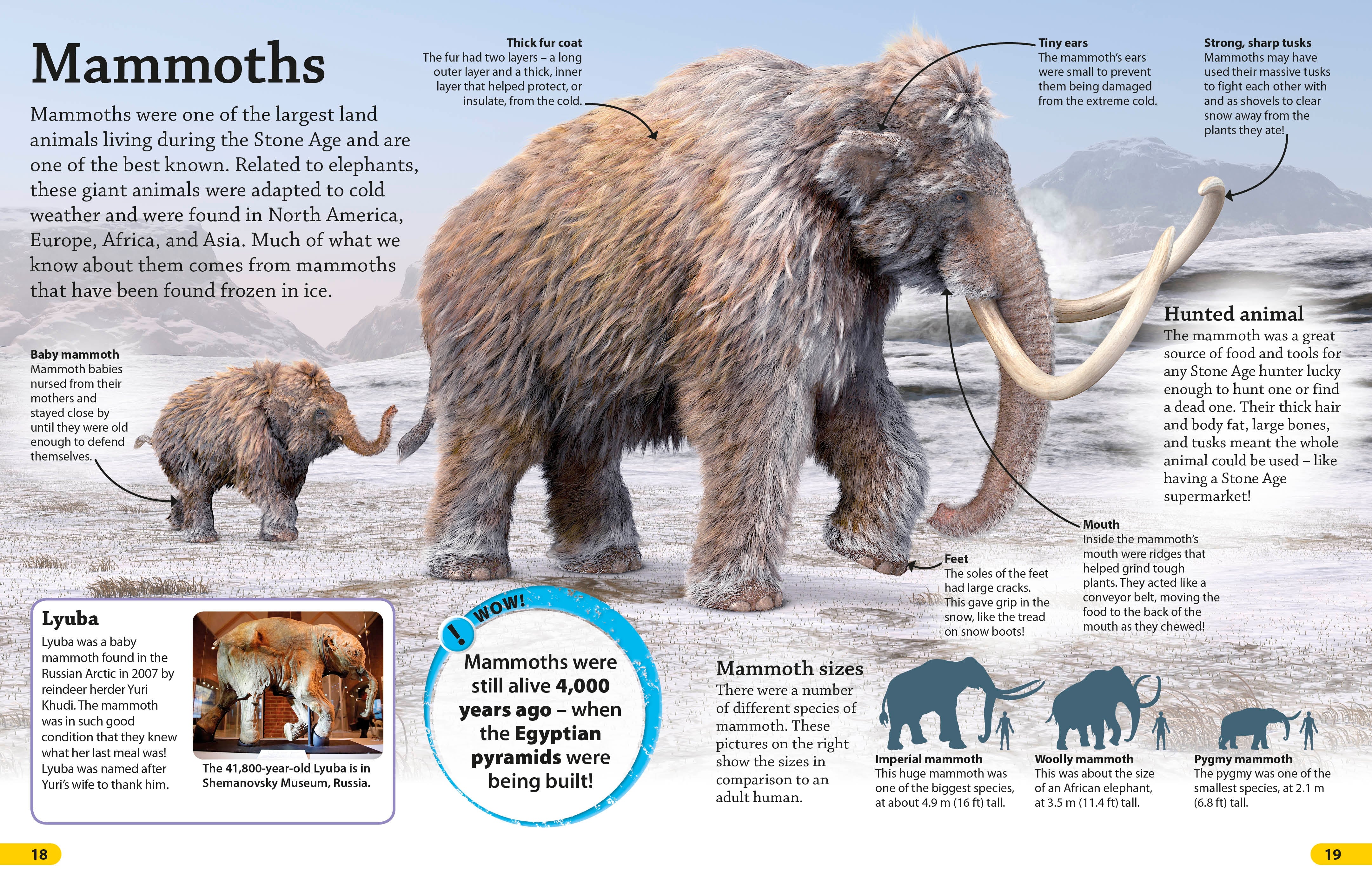 DKfindout! Stone Age - Image 2