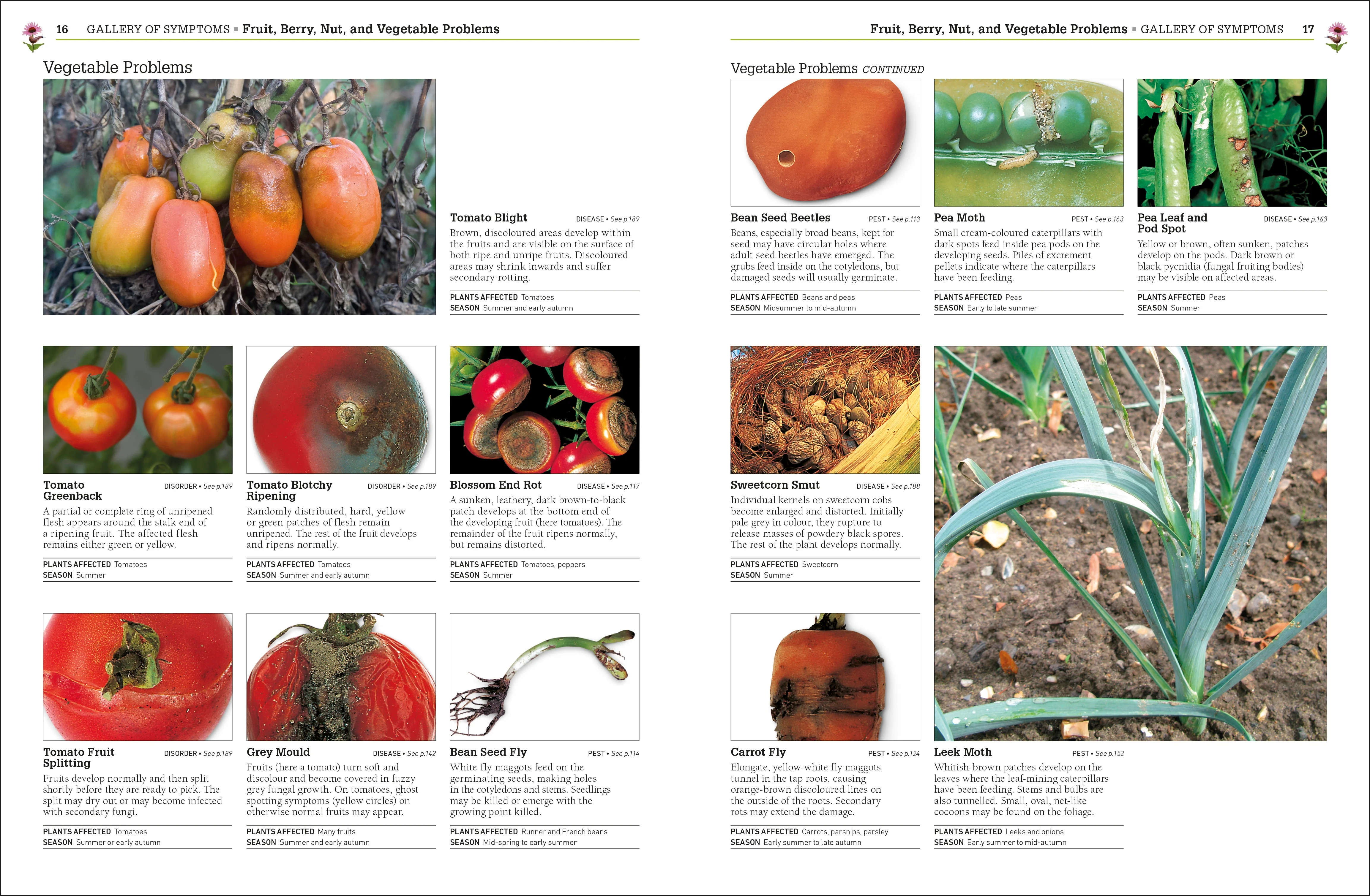 RHS Pests & Diseases - Image 2