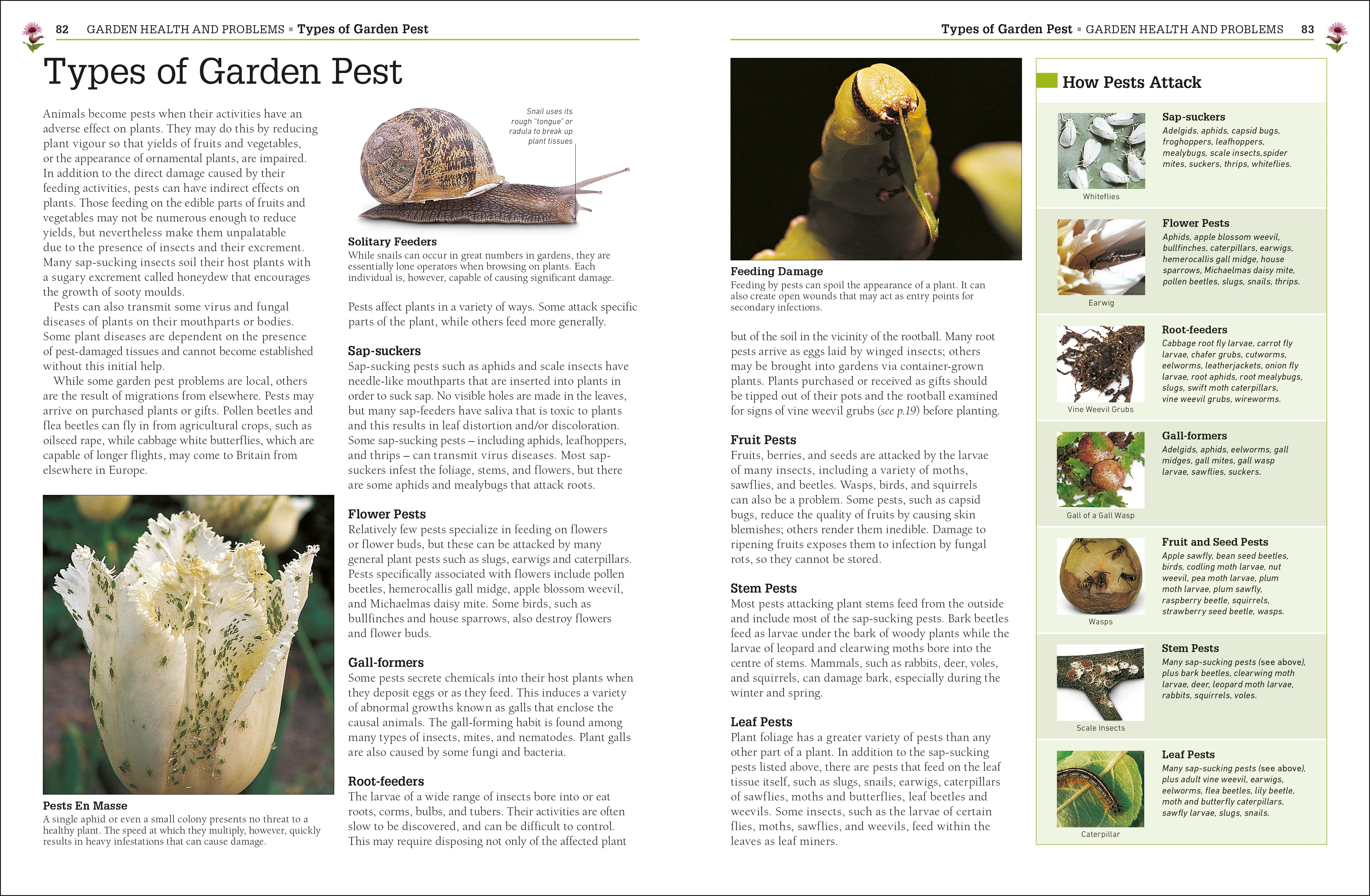 RHS Pests & Diseases - Image 4