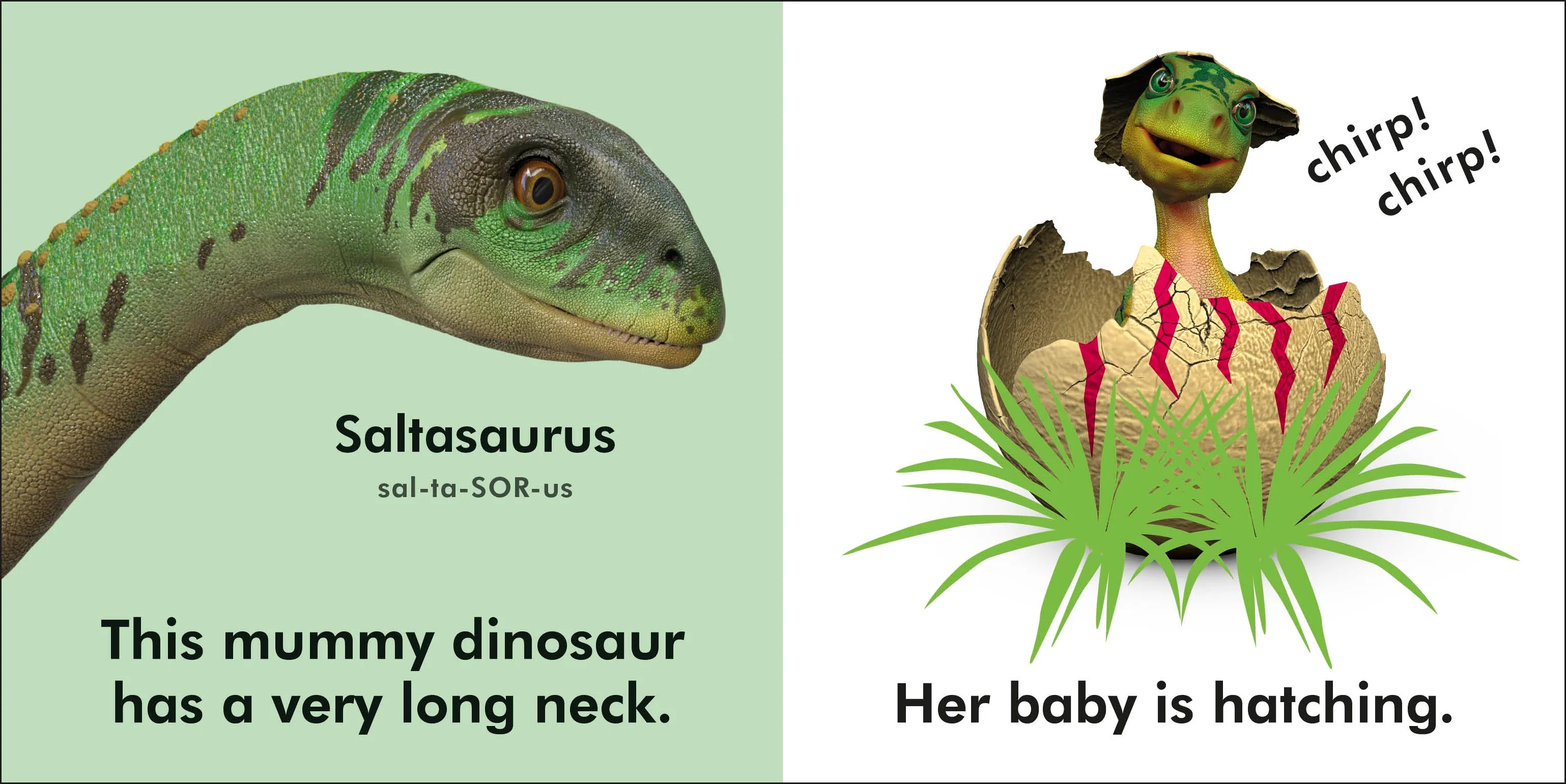 Baby Touch and Feel Baby Dinosaur - Image 2