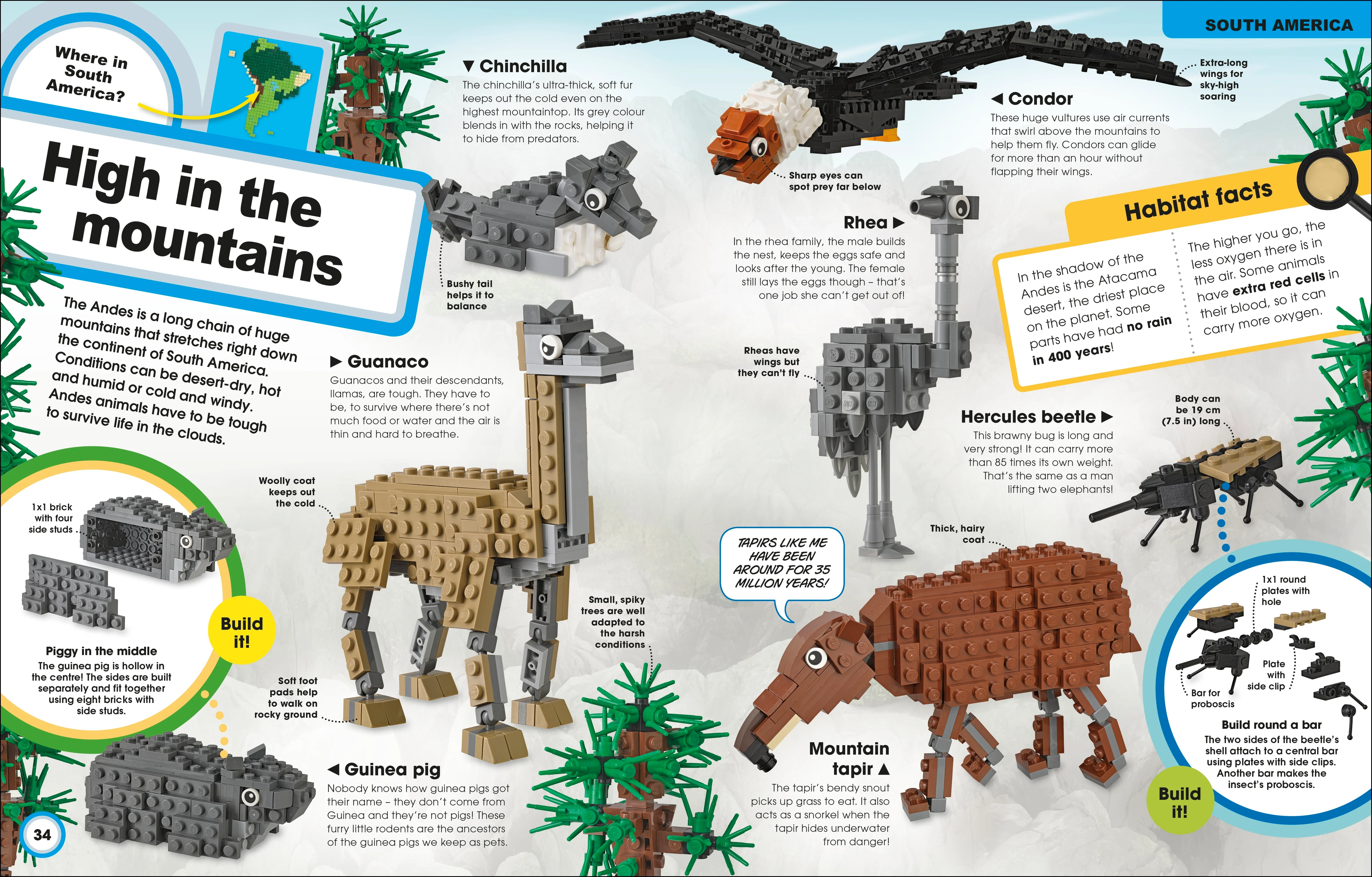 LEGO Animal Atlas - Image 4