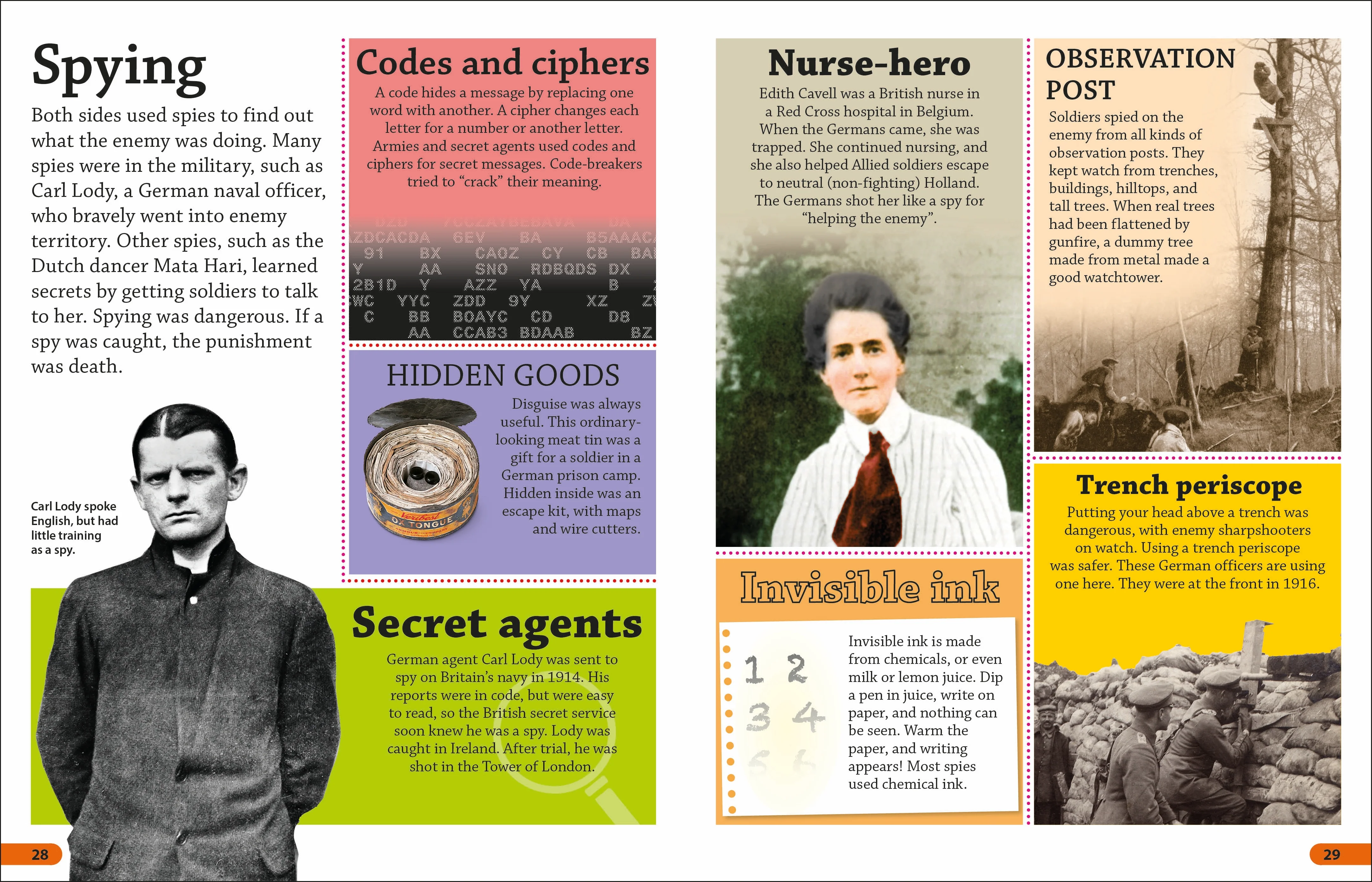 DKfindout! World War I - Image 2