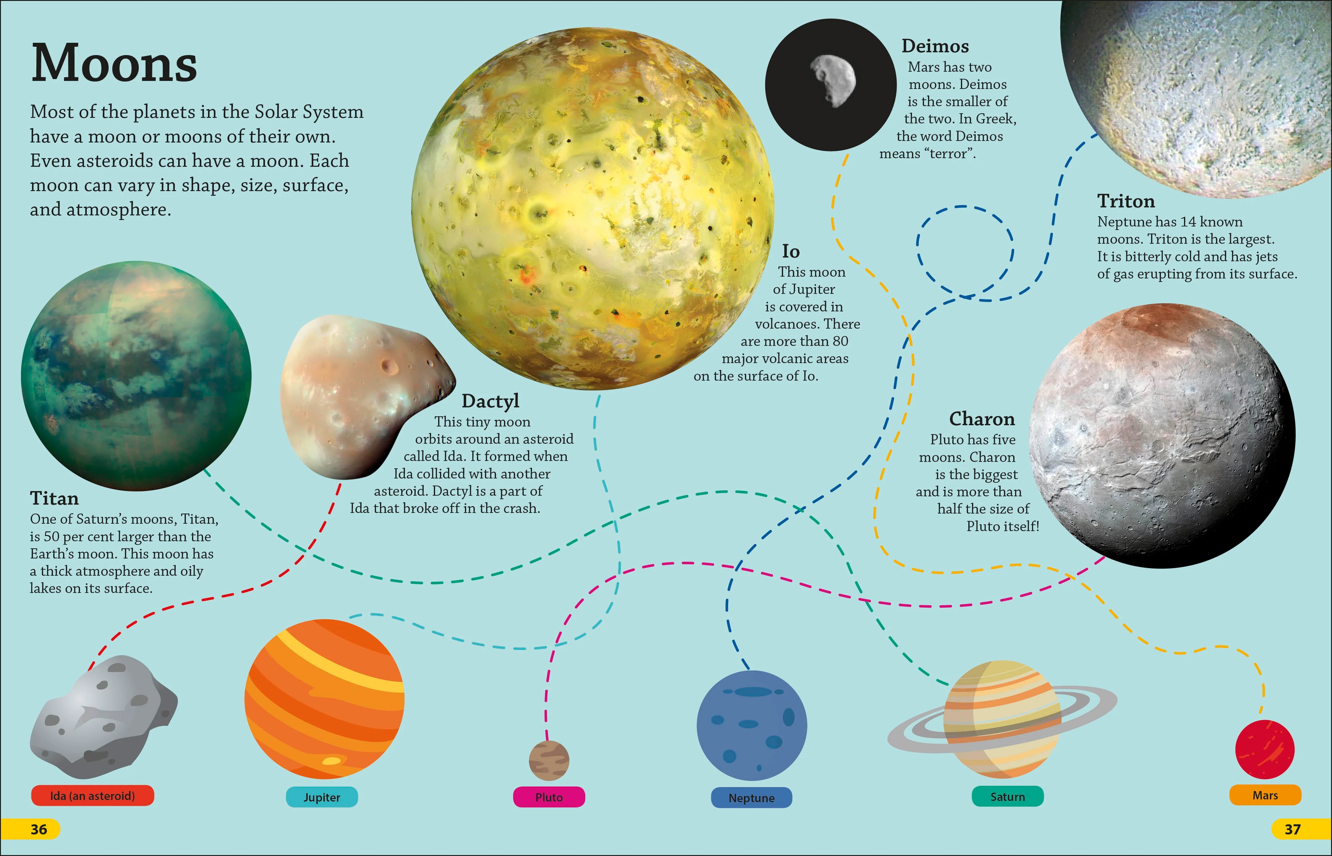 DKfindout! Universe - Image 2