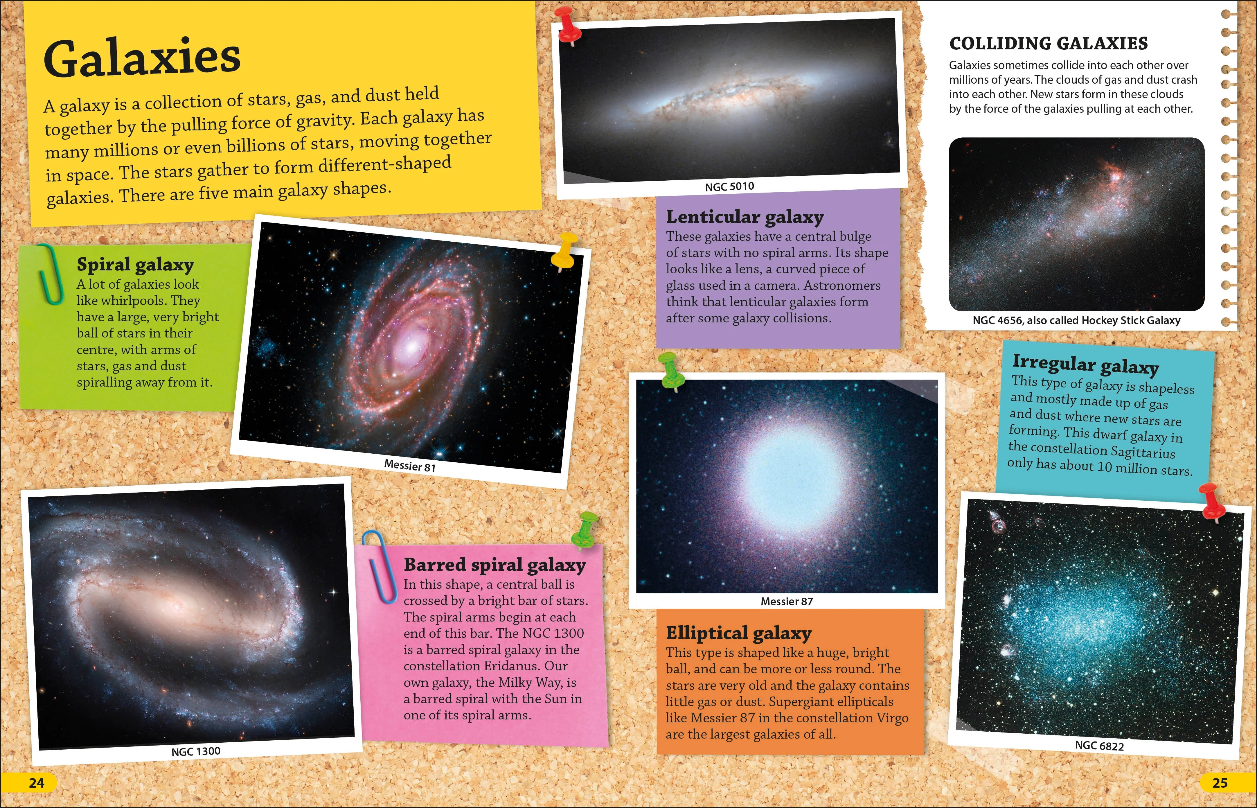 DKfindout! Universe - Image 4