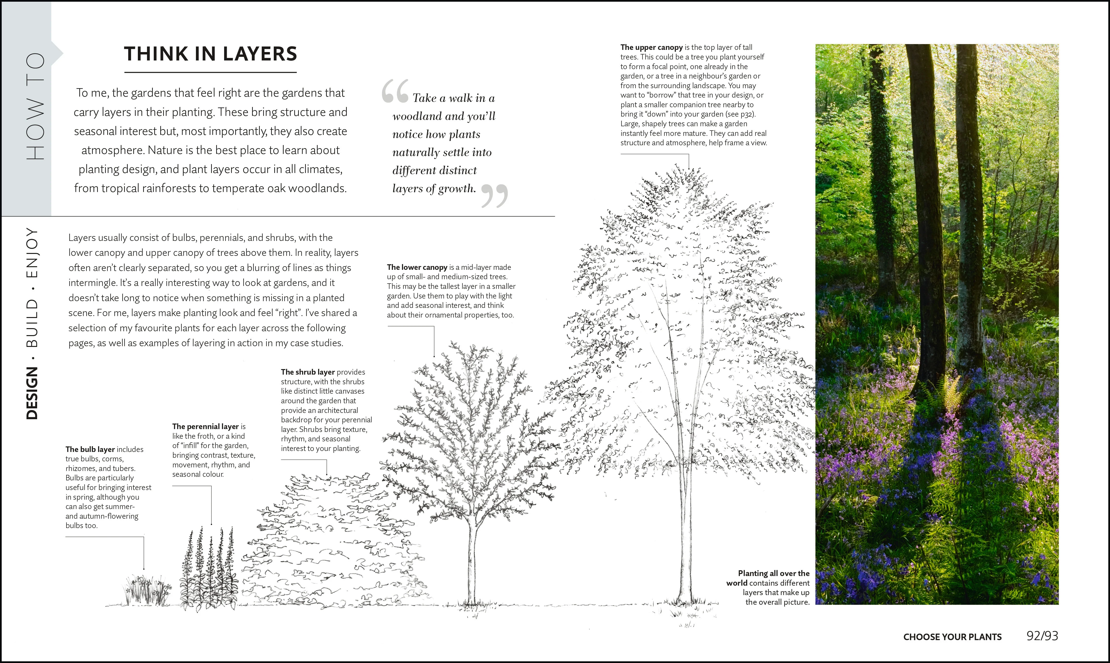 RHS How to Create your Garden - Image 6