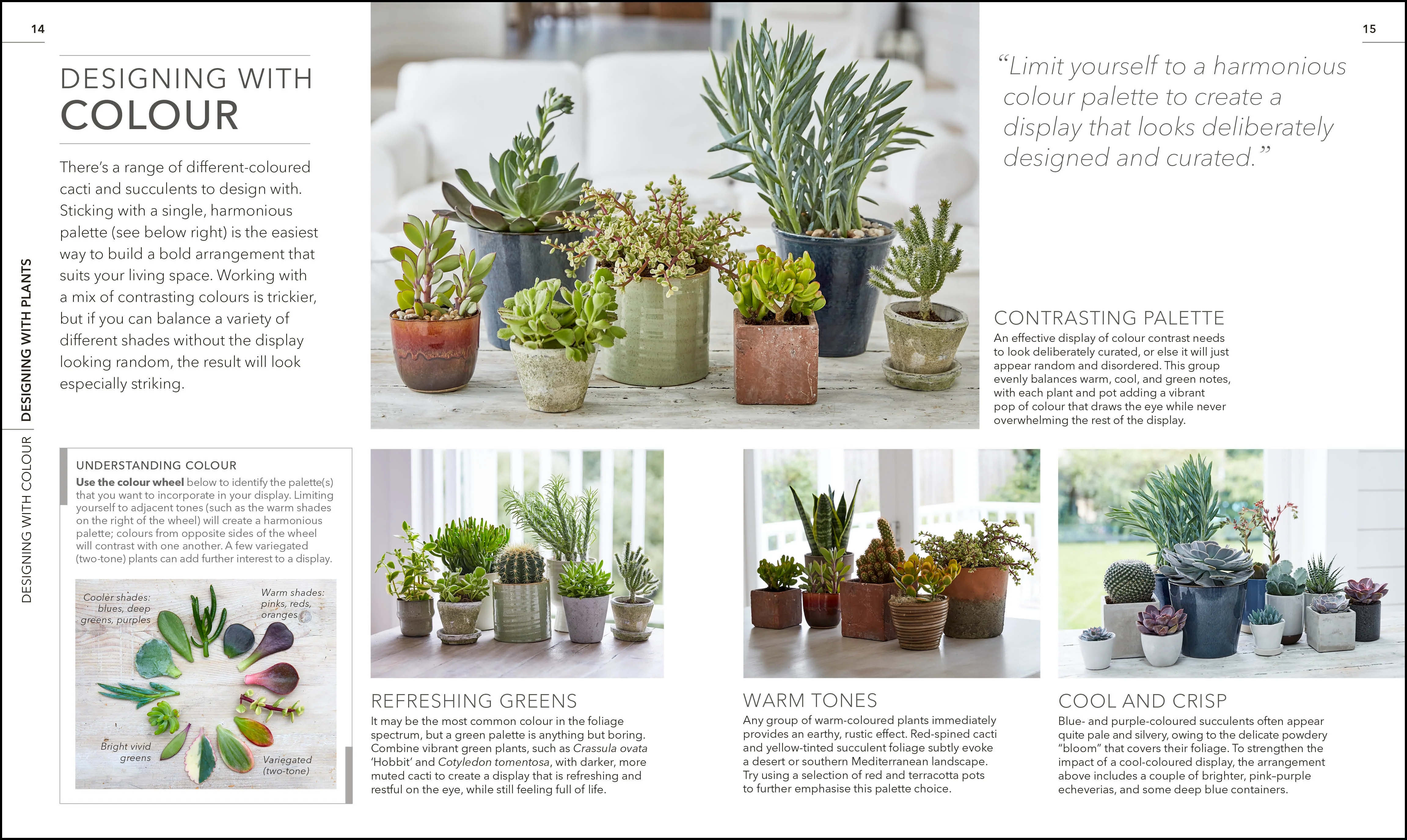 RHS Practical Cactus and Succulent Book - Image 2
