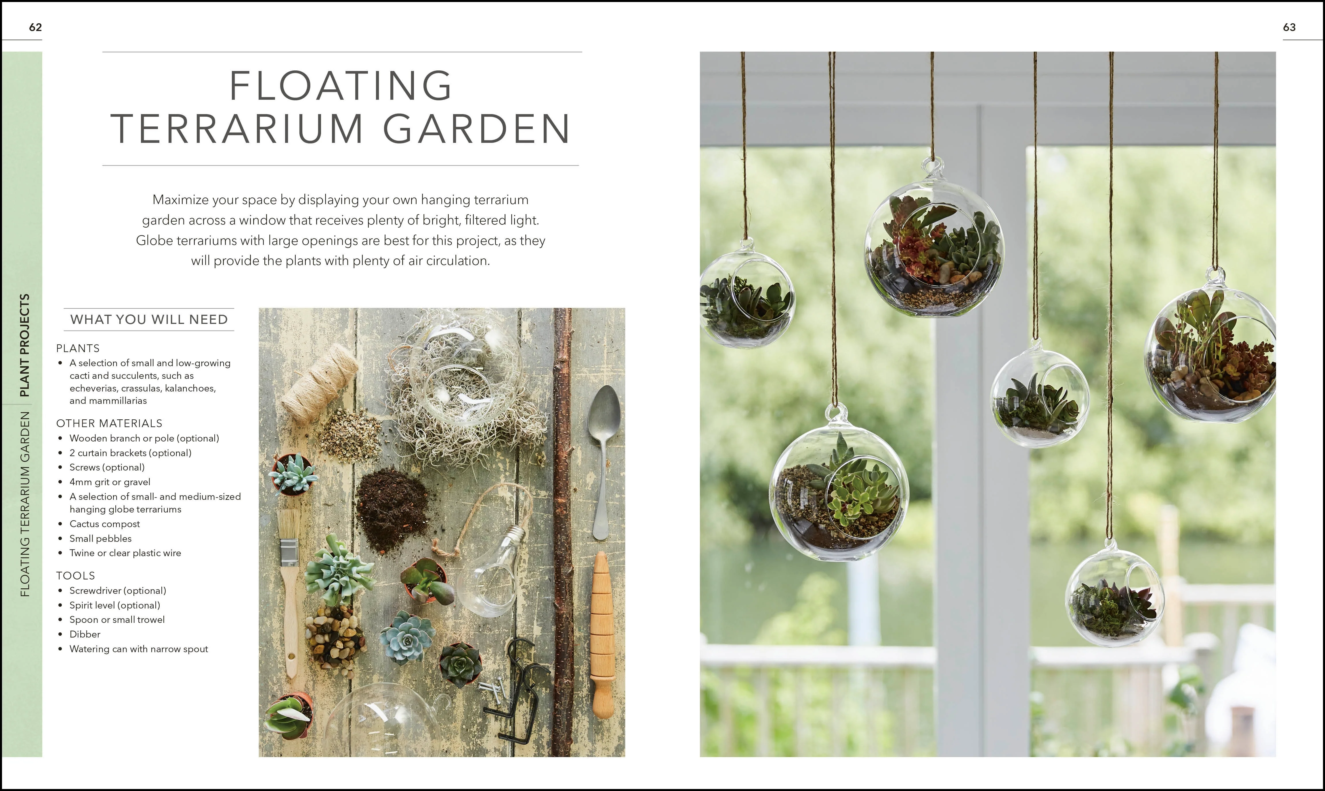 RHS Practical Cactus and Succulent Book - Image 3