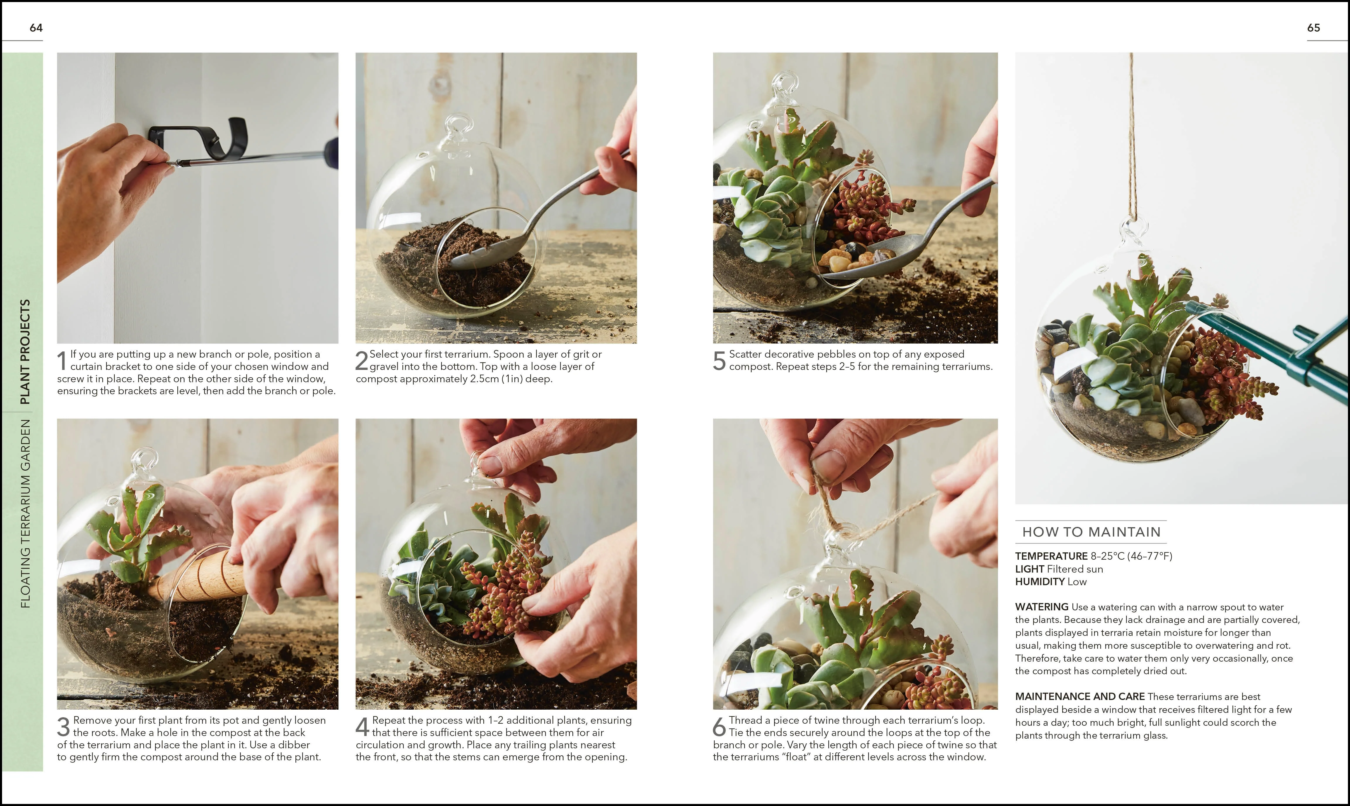 RHS Practical Cactus and Succulent Book - Image 4