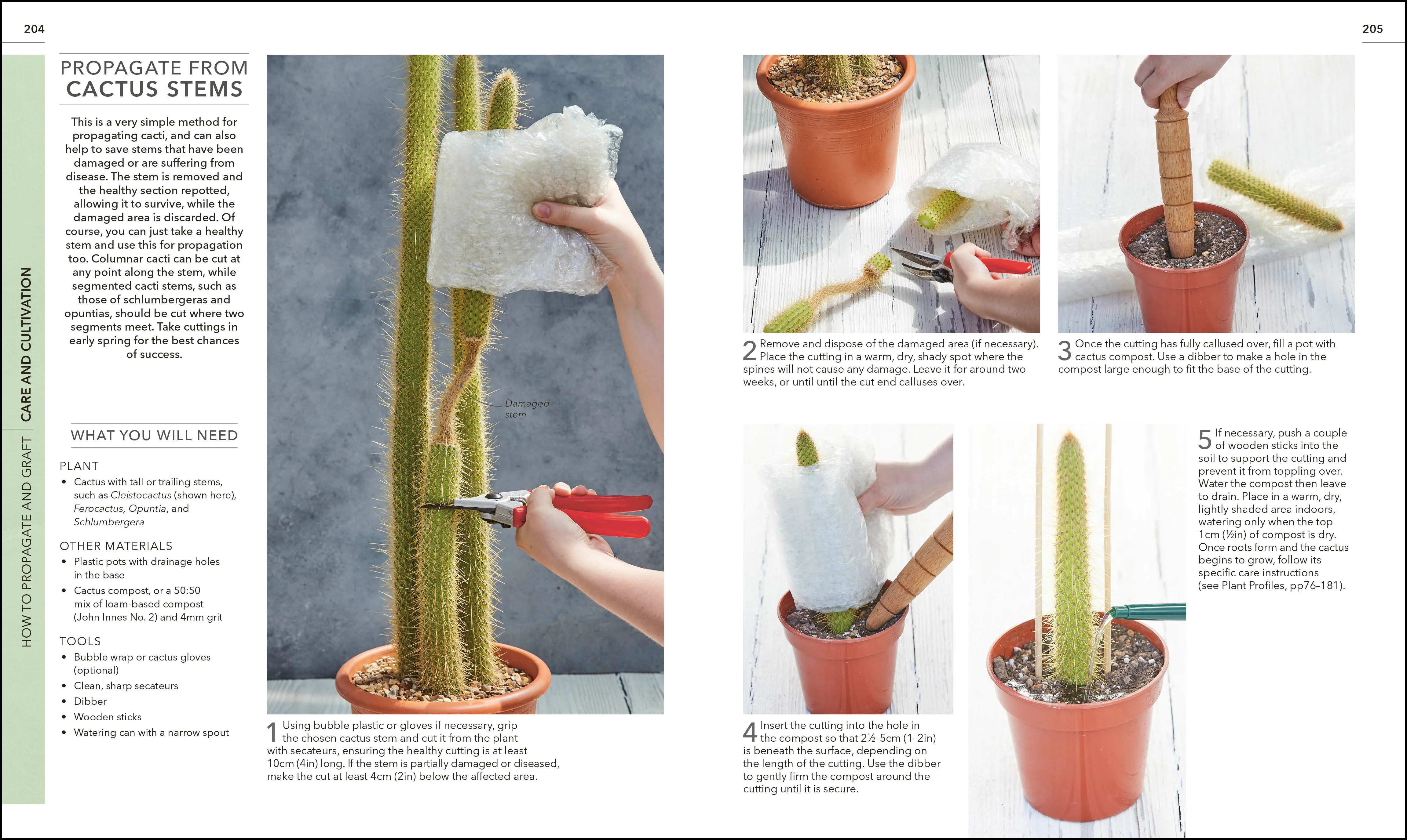 RHS Practical Cactus and Succulent Book - Image 6