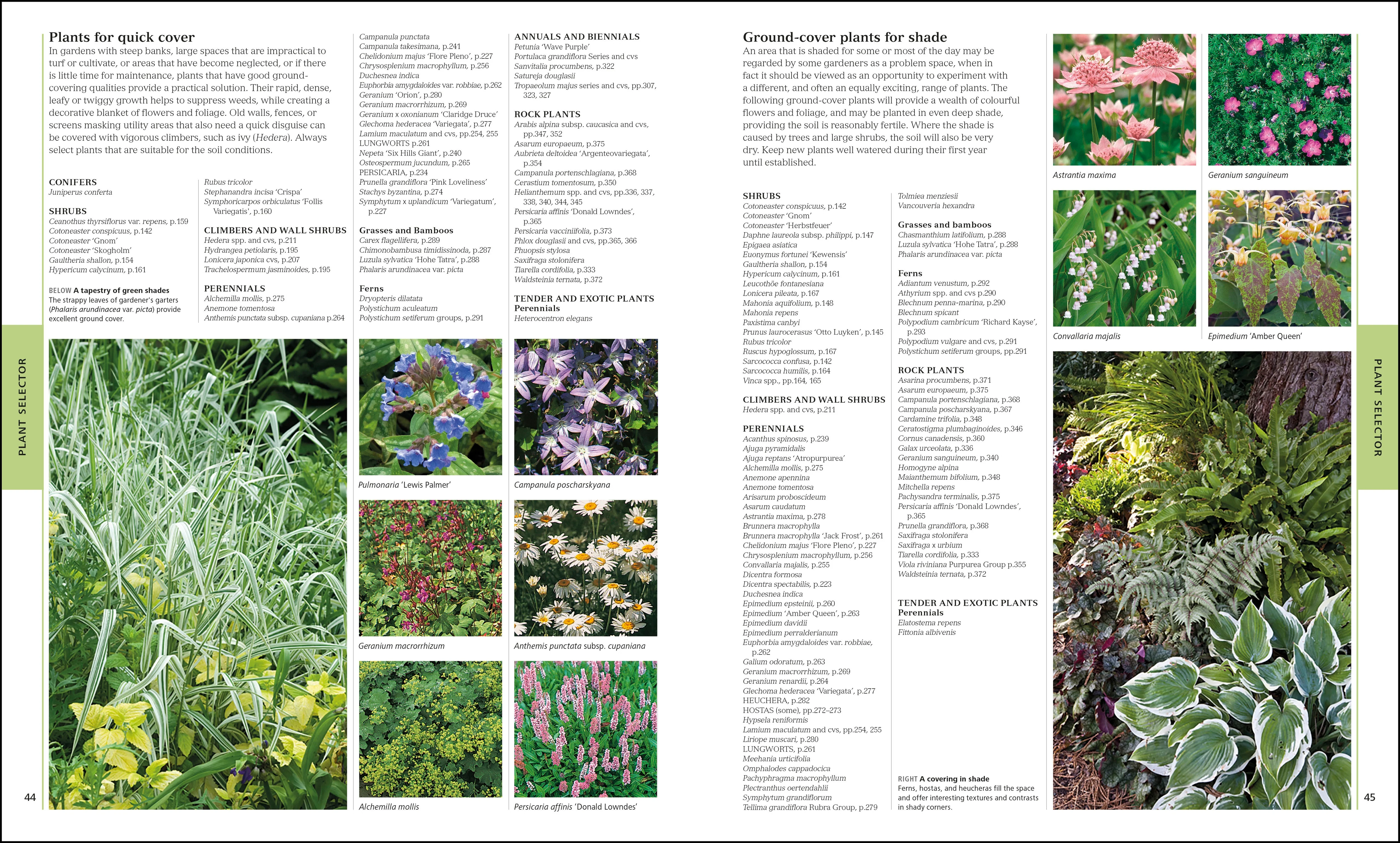 RHS Encyclopedia Of Plants and Flowers - Image 3