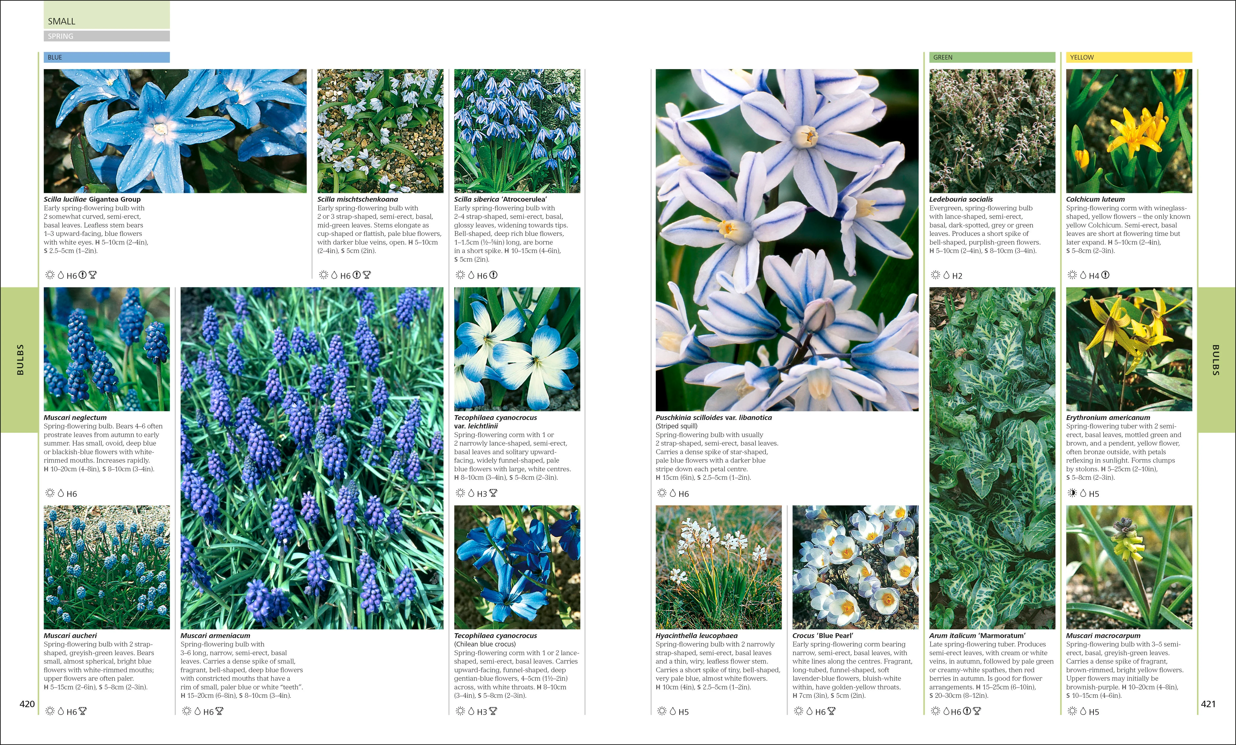 RHS Encyclopedia Of Plants and Flowers - Image 6