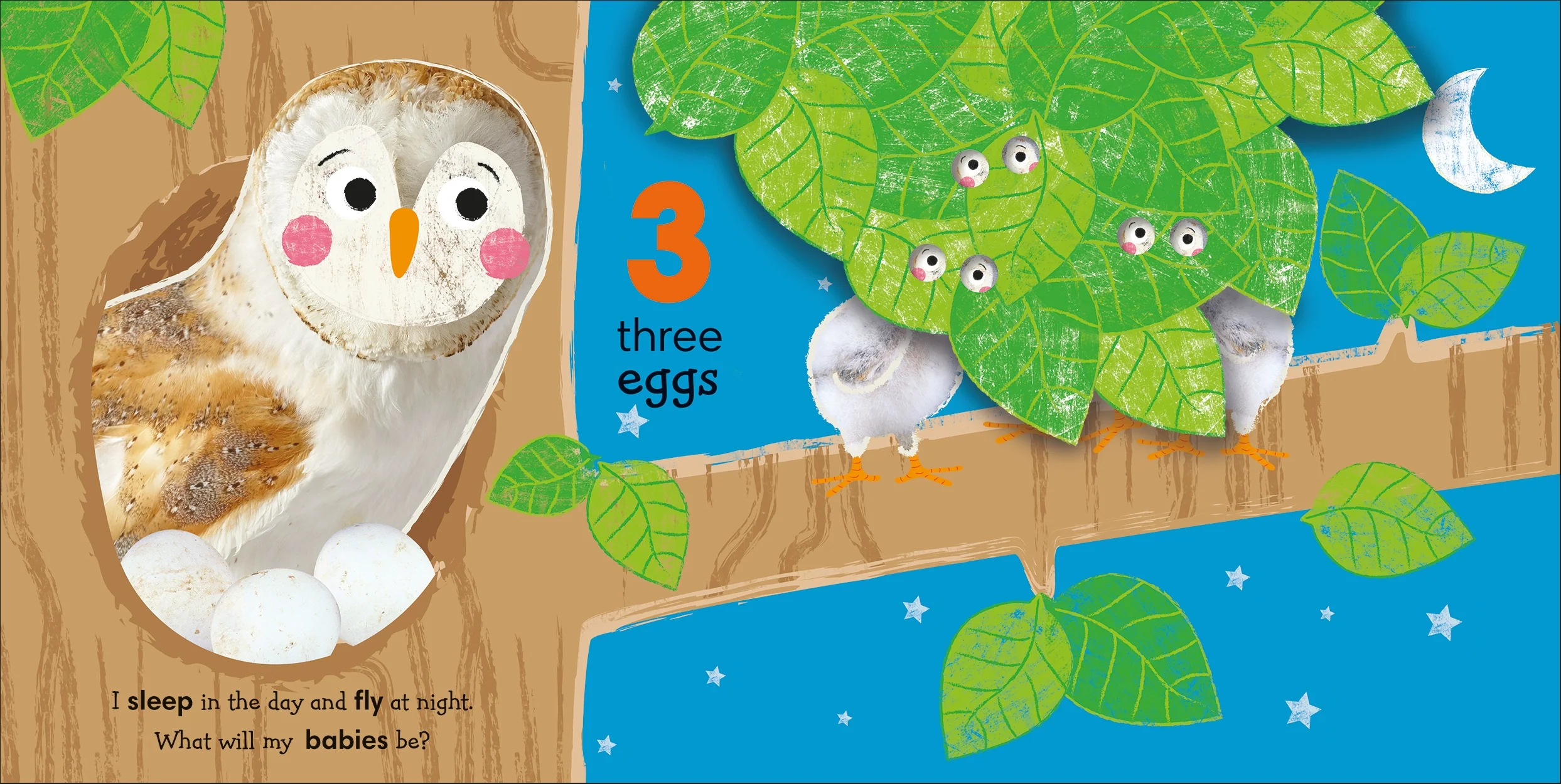 Flip, Flap, Find! Counting 1, 2, 3 - Image 2
