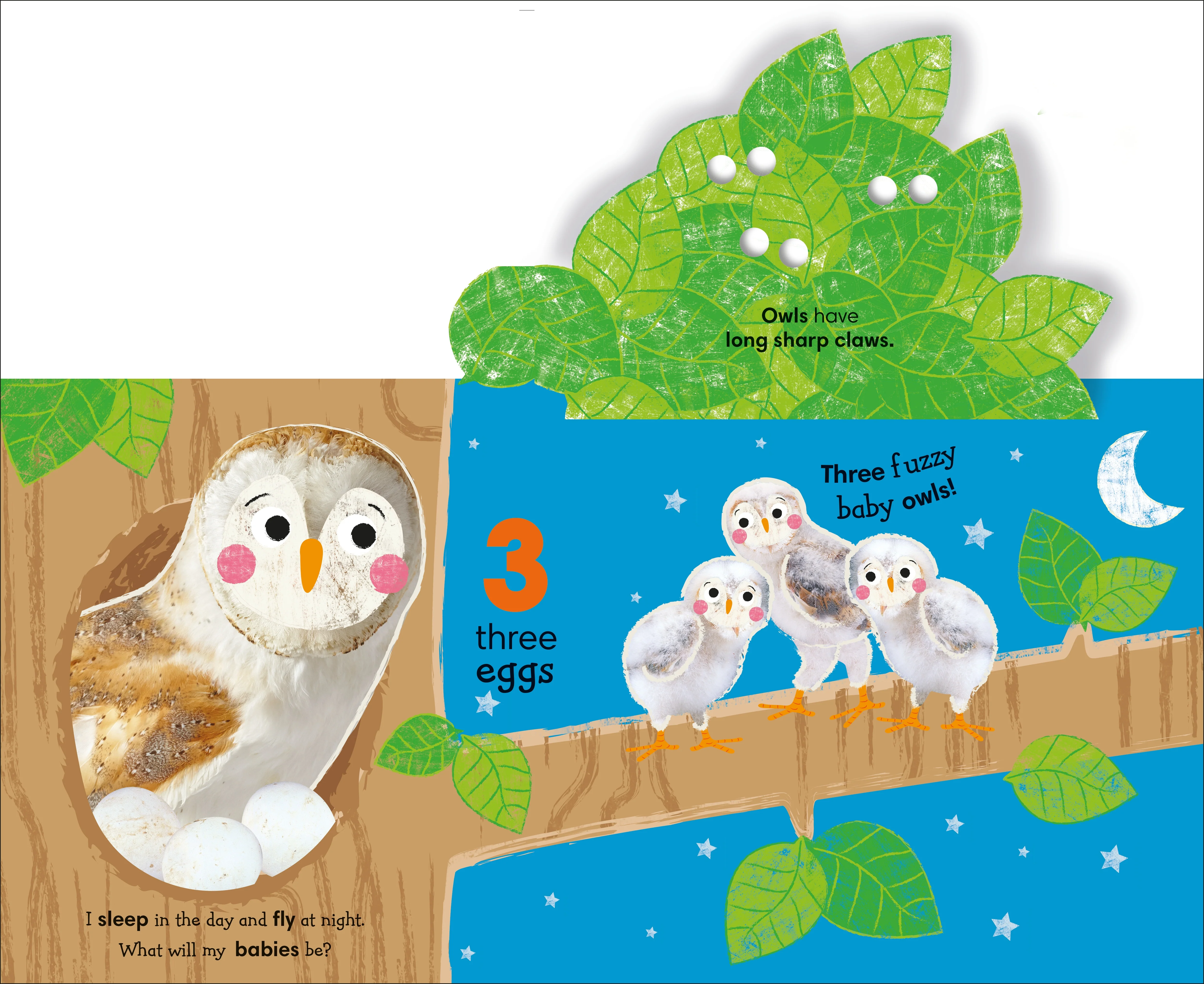 Flip, Flap, Find! Counting 1, 2, 3 - Image 3