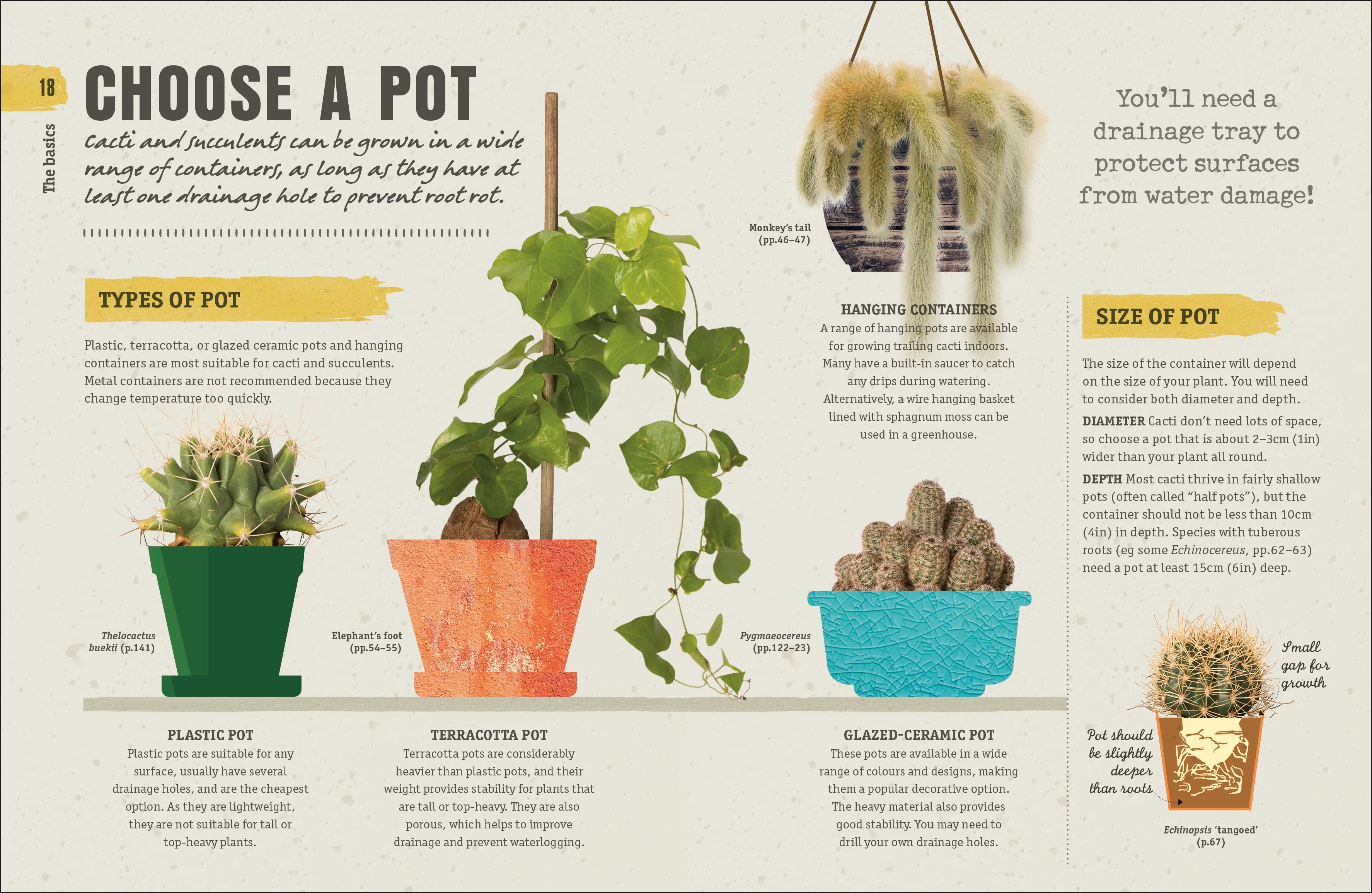 Happy Cactus - Image 2