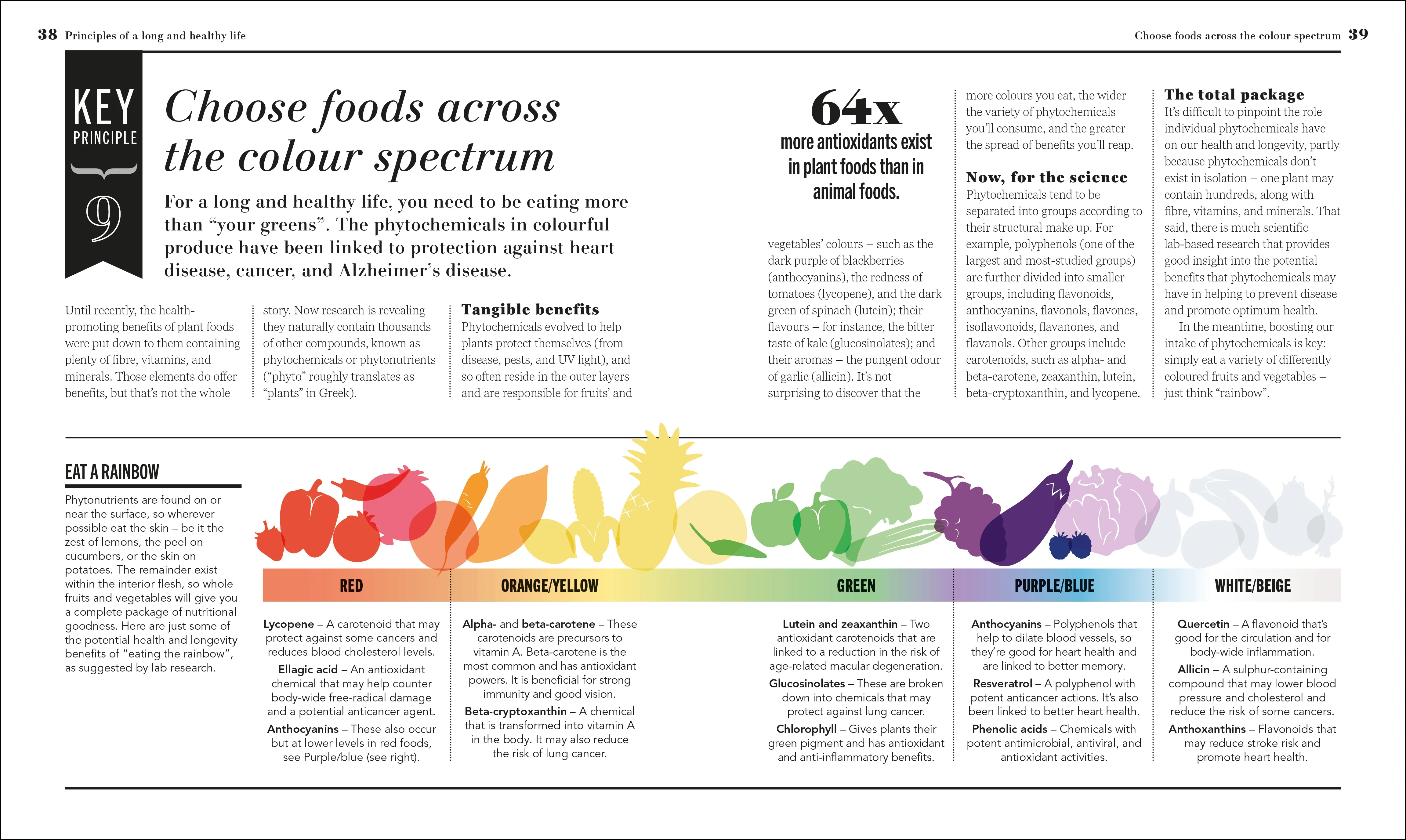 Eat Better, Live Longer - Image 2