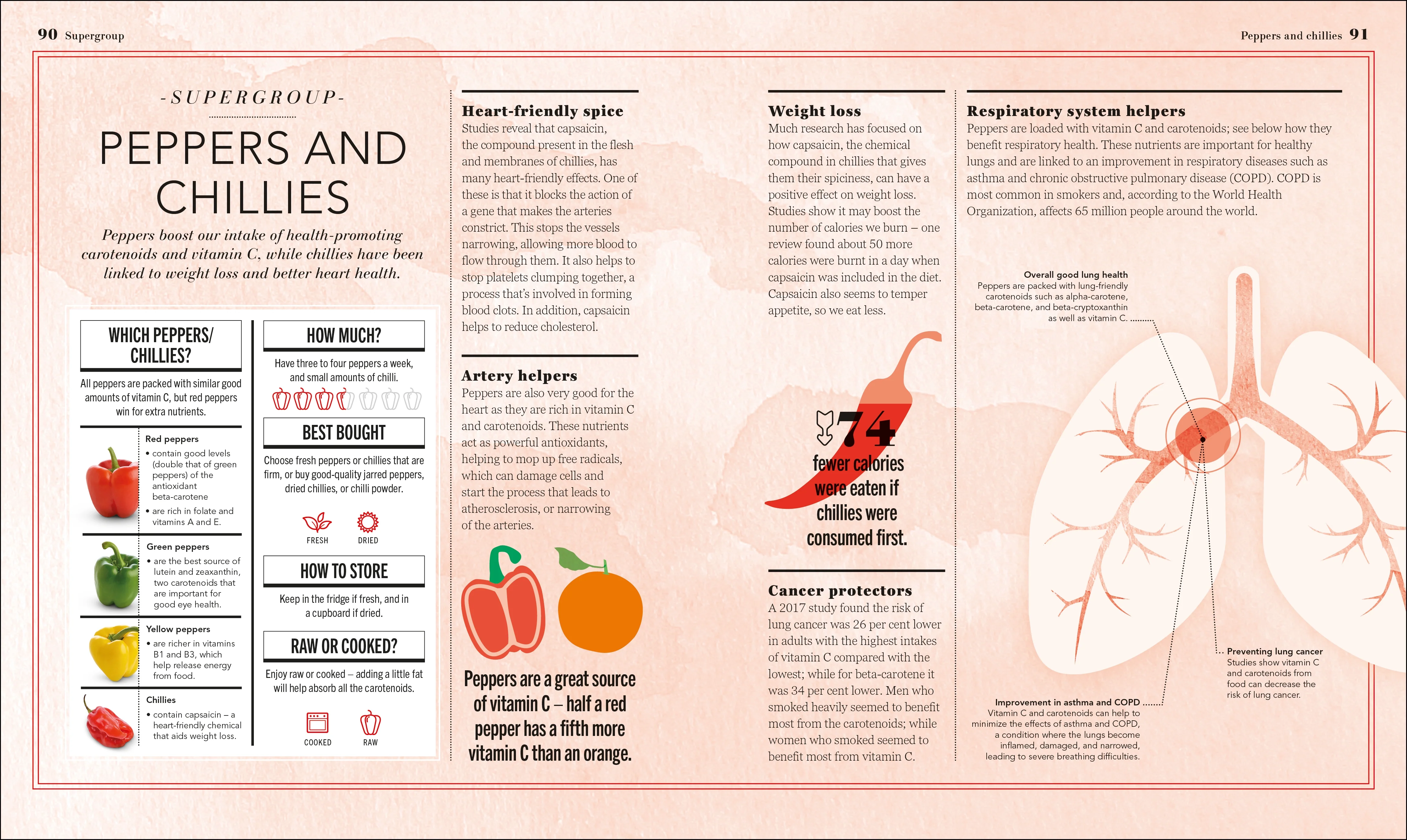 Eat Better, Live Longer - Image 3