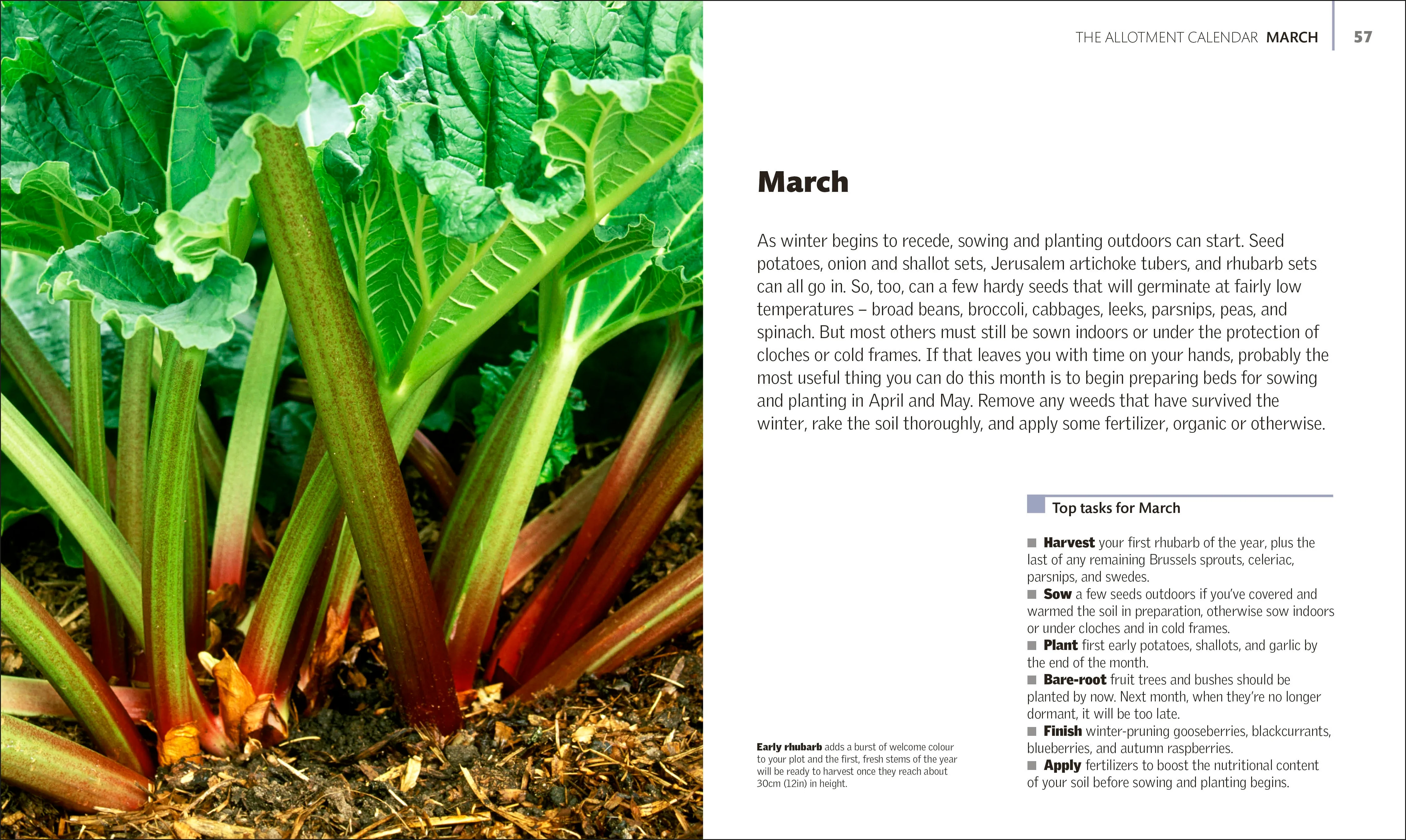 Allotment Month By Month - Image 2