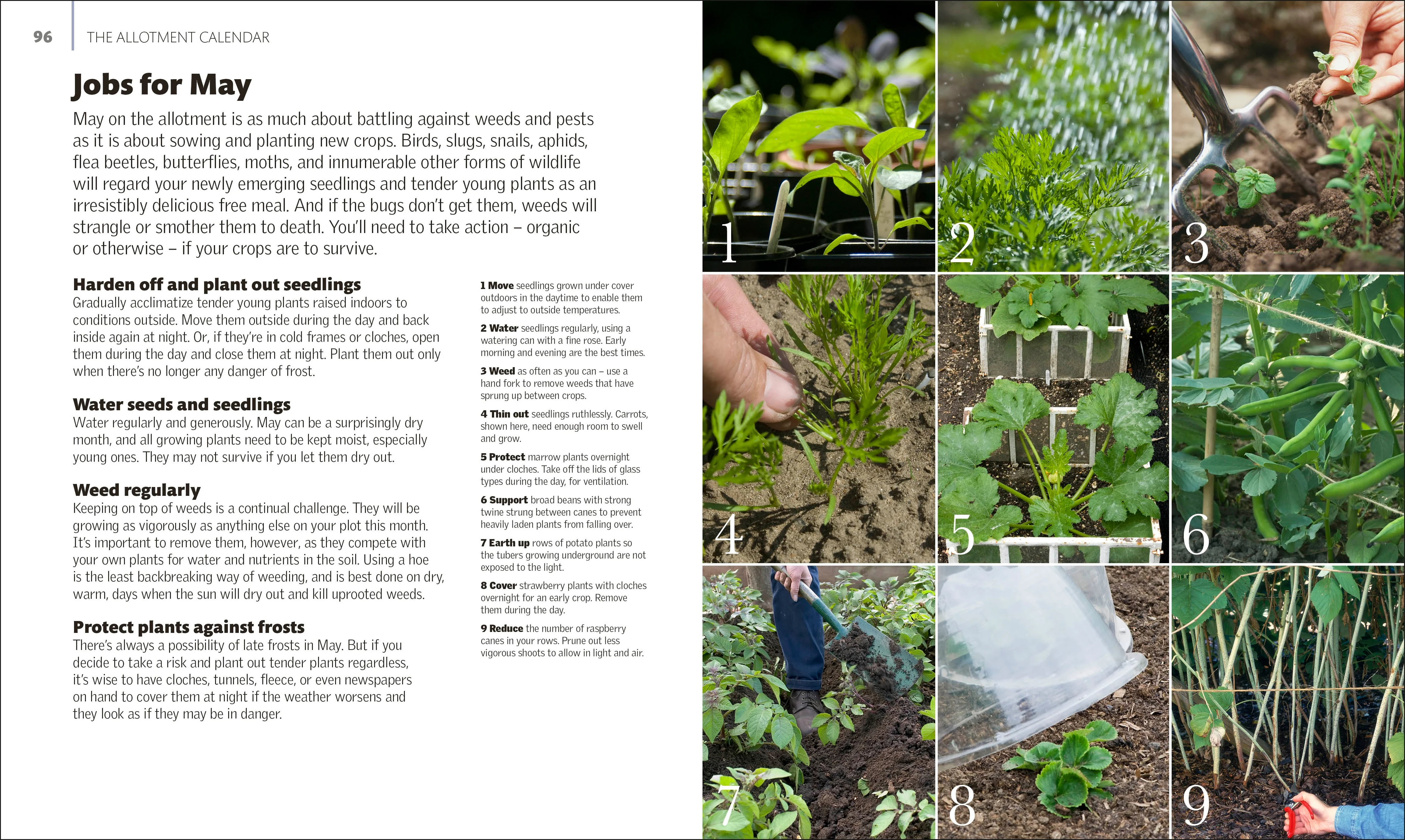 Allotment Month By Month - Image 3