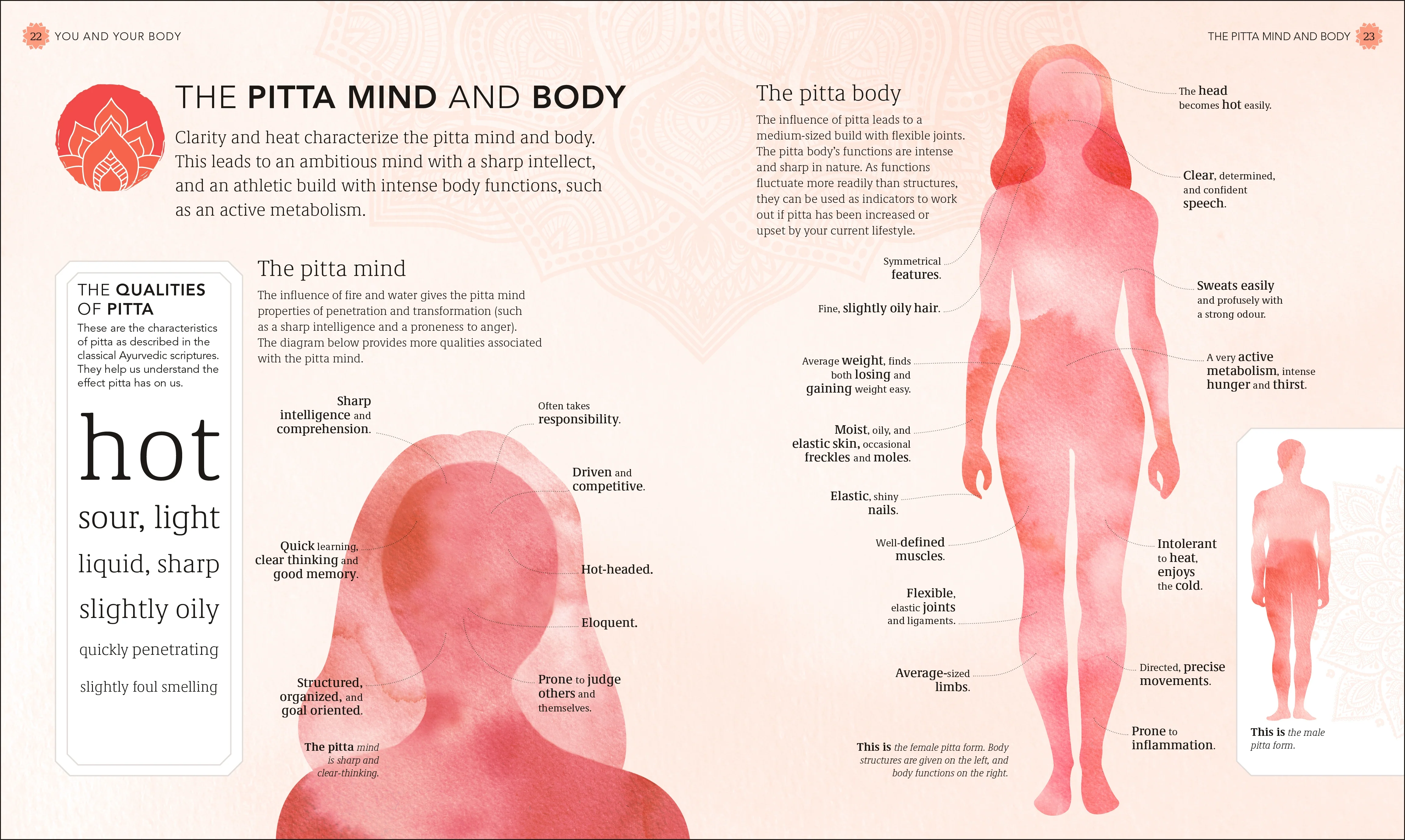 Practical Ayurveda - Image 6