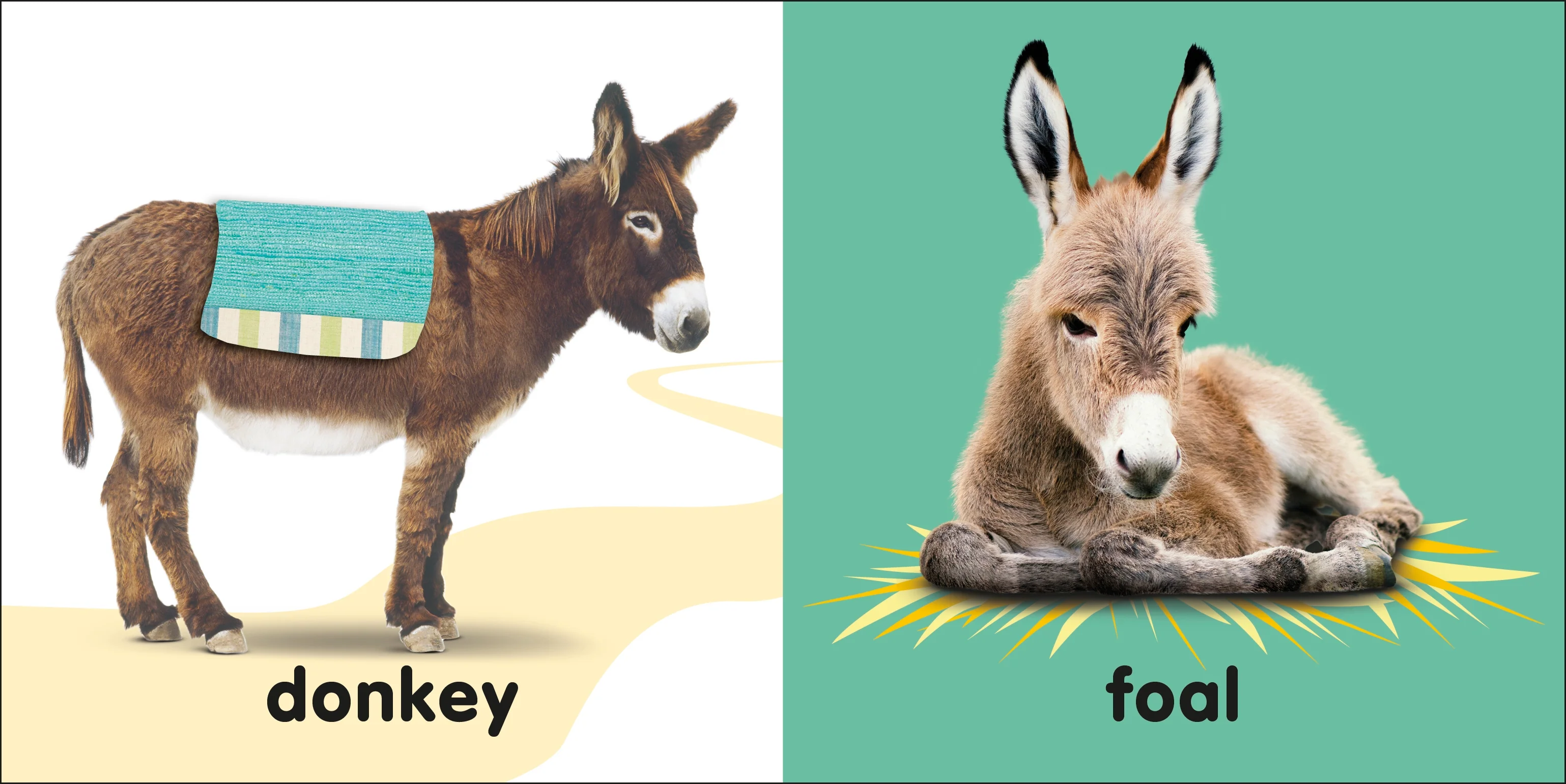 Baby Touch and Feel Bible Animals - Image 2